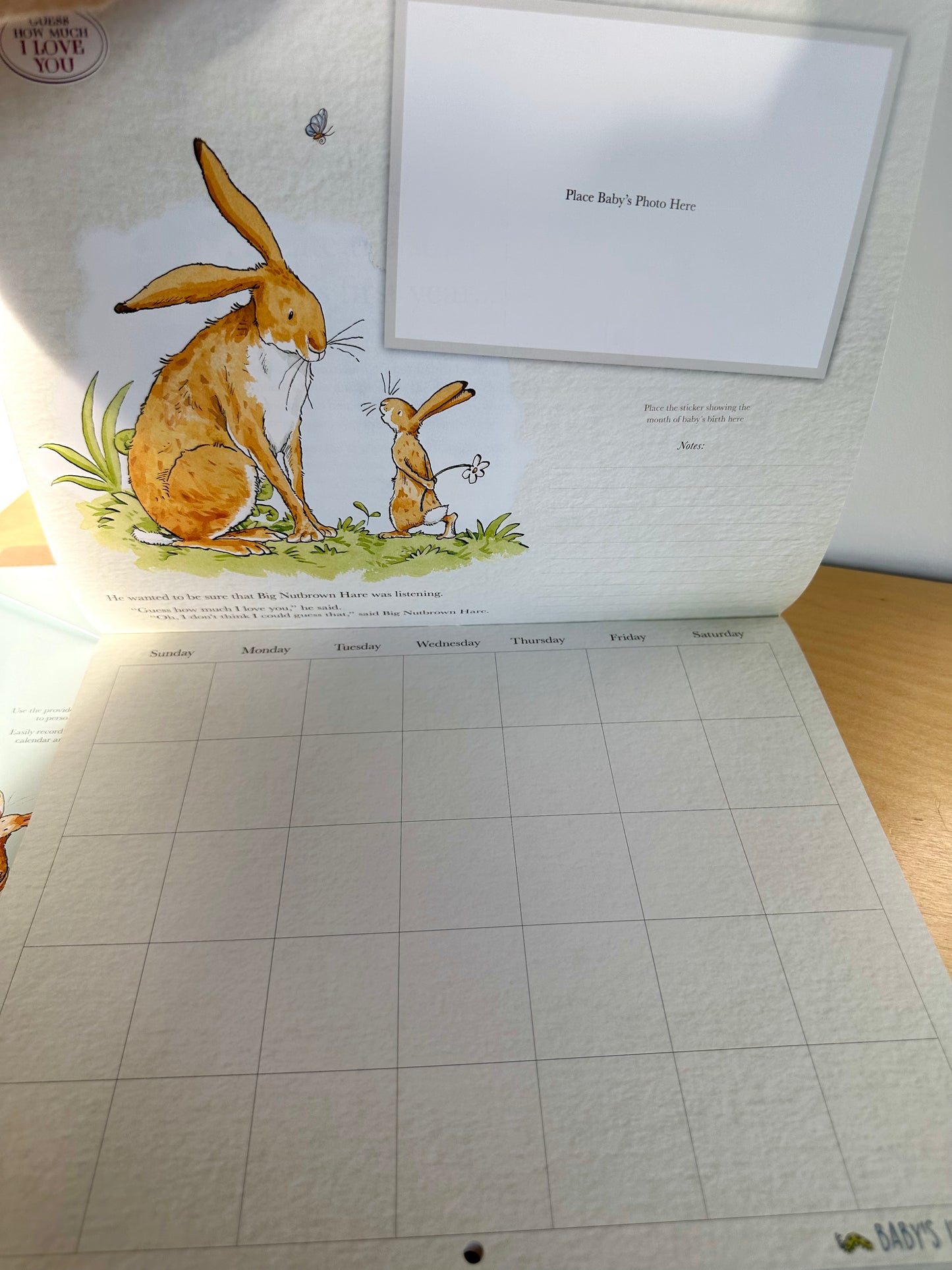 Baby's 1st Year Calendar (No Shipping)