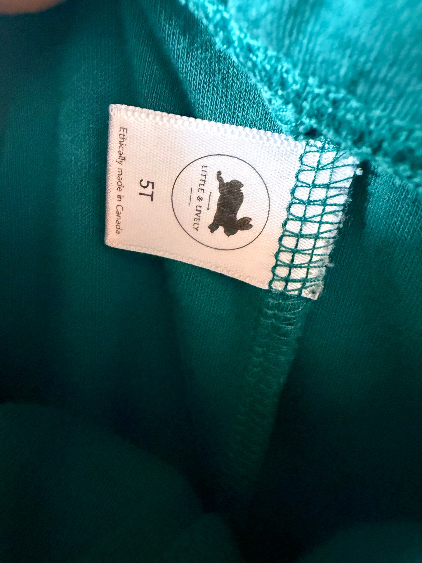 Little & Lively Teal Pants (PLAY) / 4T