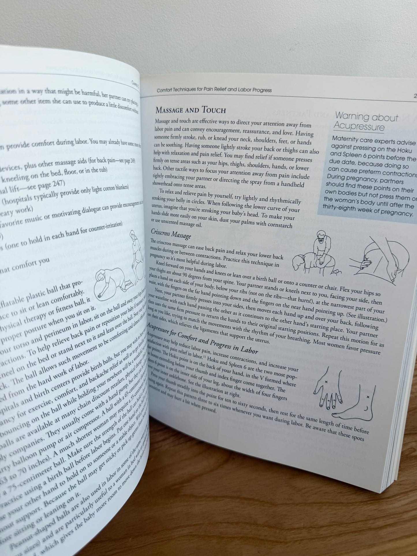 Pregnancy Childbirth and The Newborn Book (No Shipping)