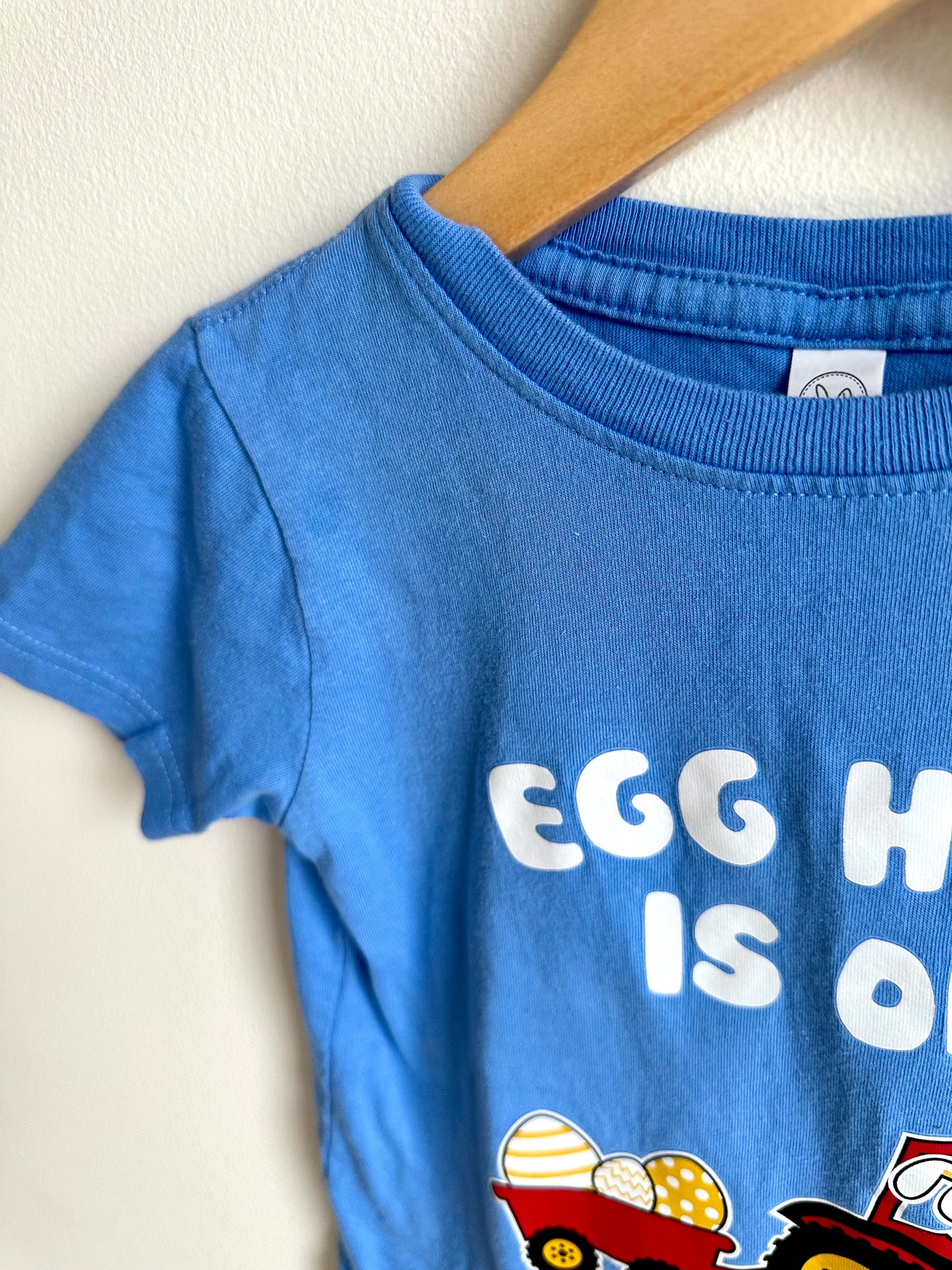 Egg Hunt Is On T-Shirt / 3T