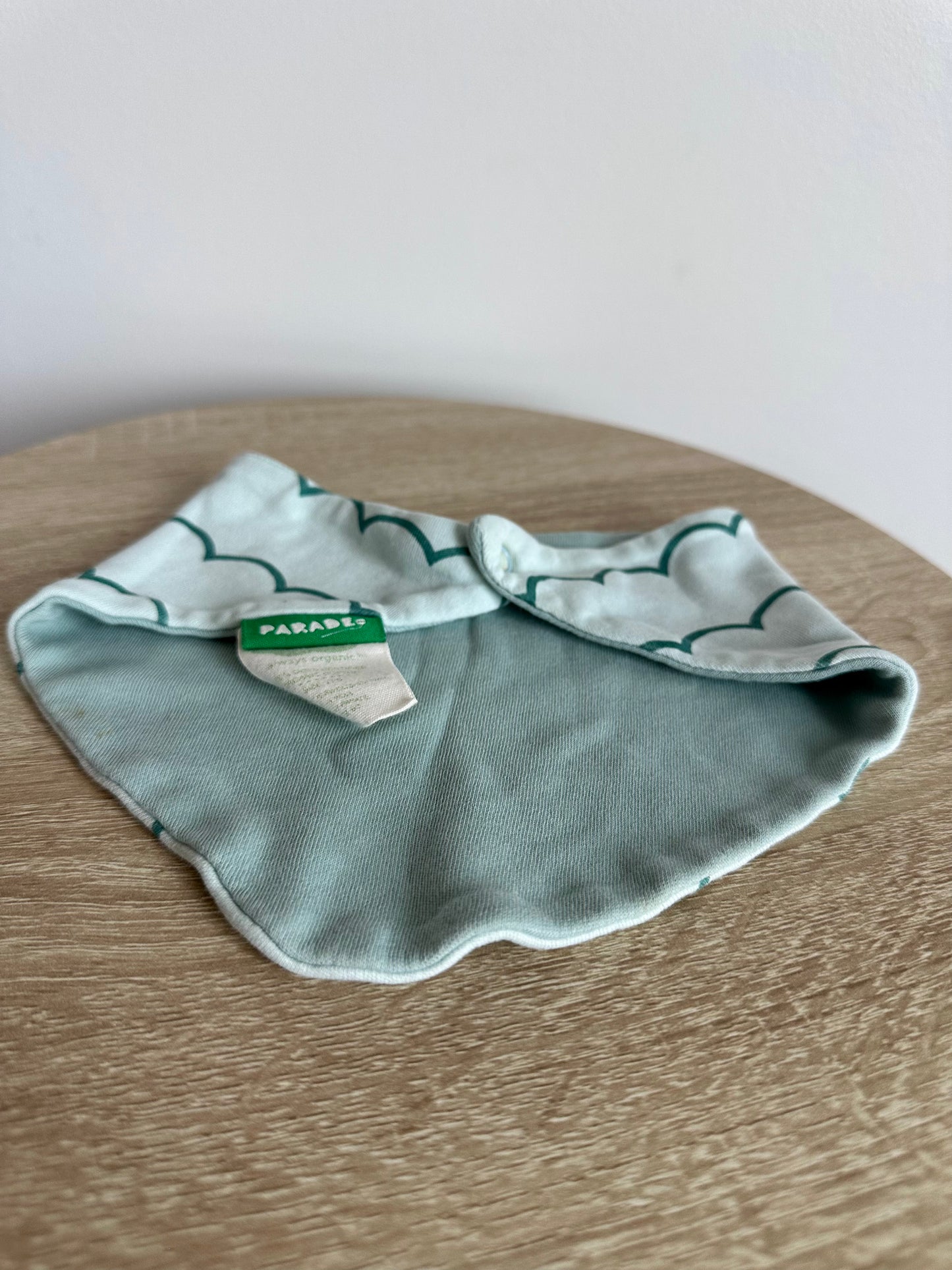 Parade Organic Green Patterned Bib