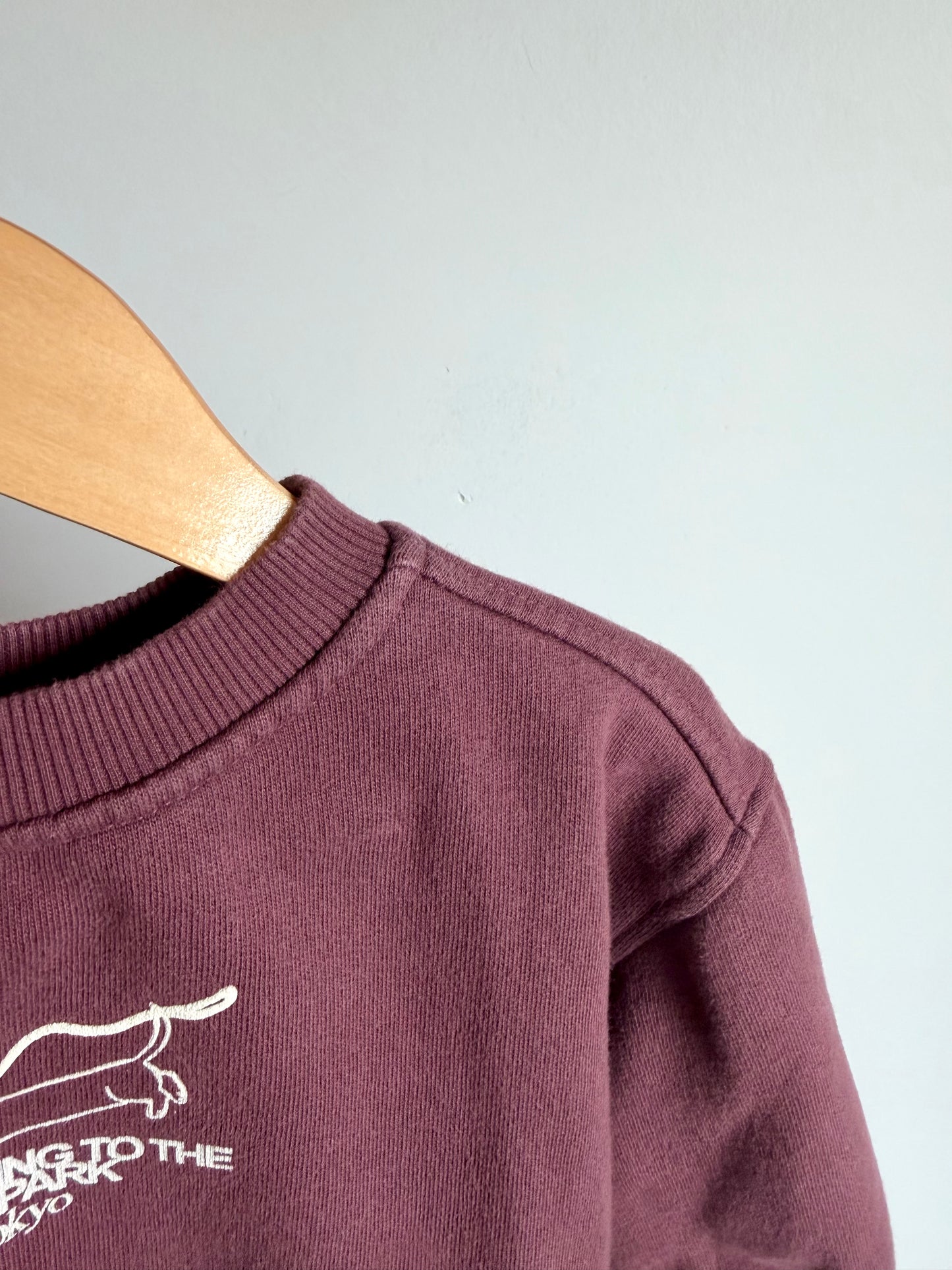 Dog Park Crew Neck Sweater / 3T