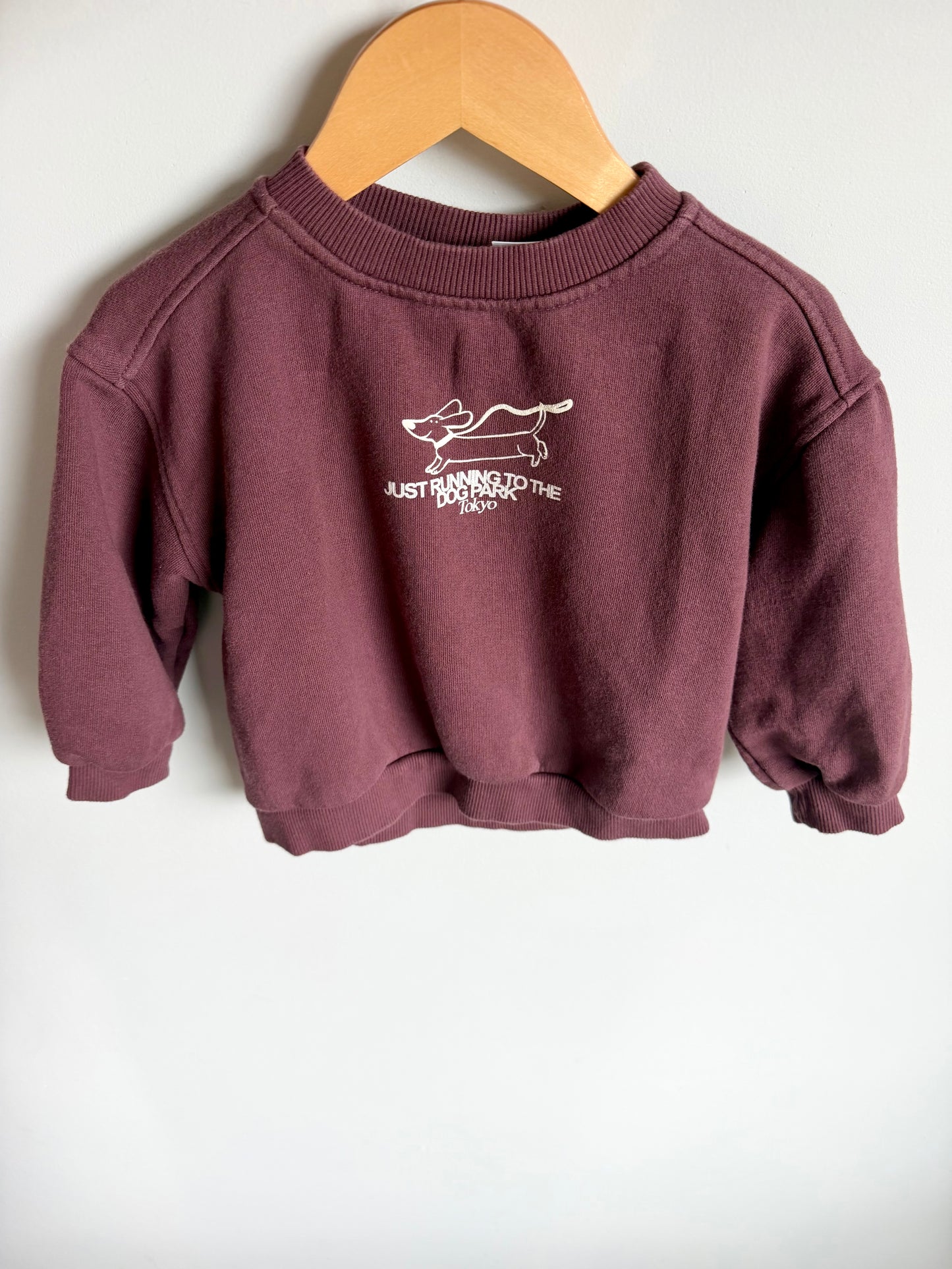 Dog Park Crew Neck Sweater / 3T
