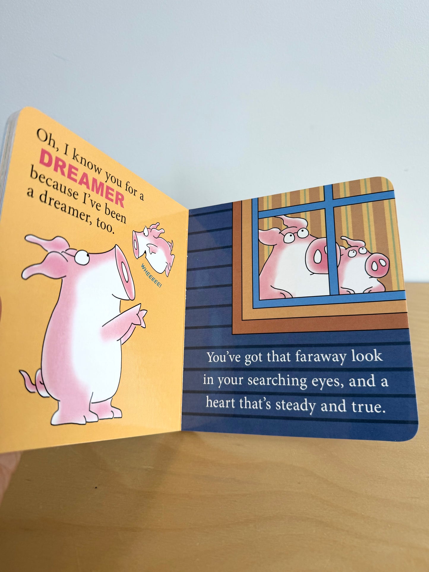 When Pigs Fly Book / 0-3 years