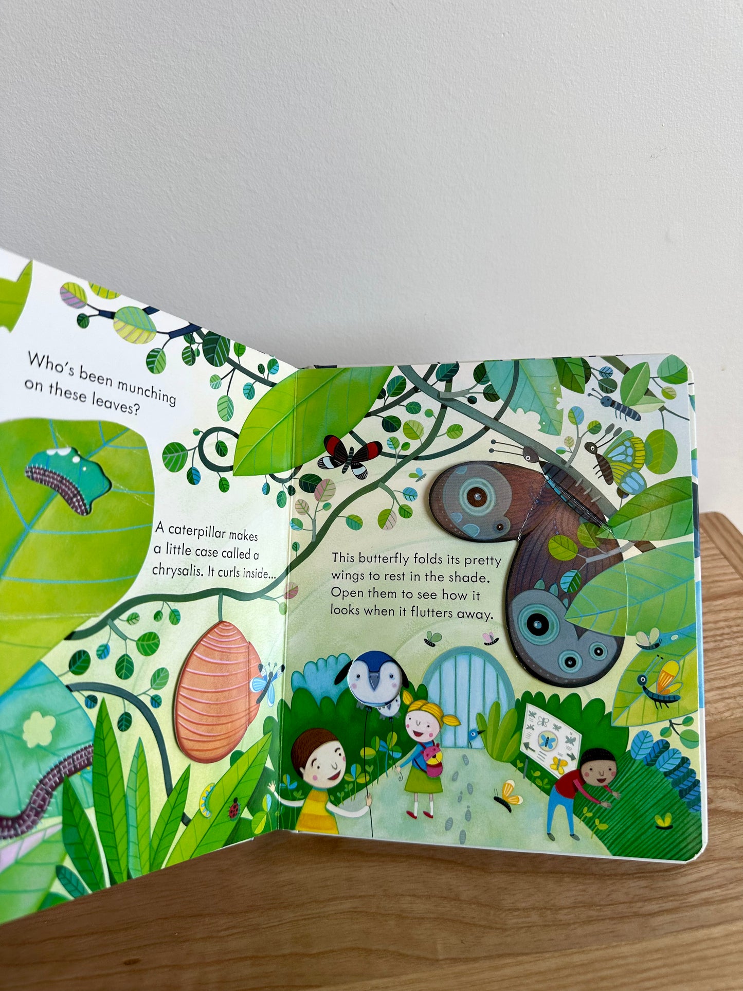 Peep Inside the Zoo Board Book / 3-5 years