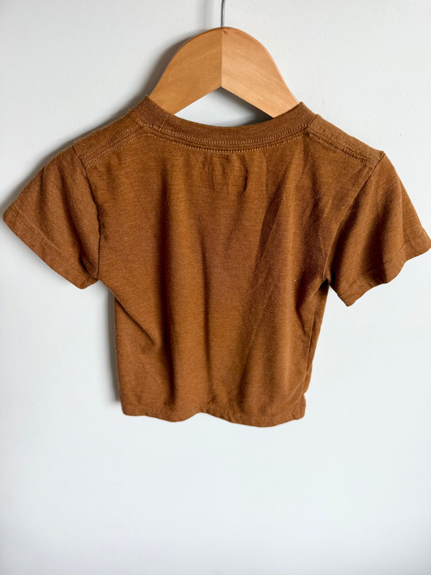 Carhartt Pocket Tan T-Shirt (PLAY) / 2T