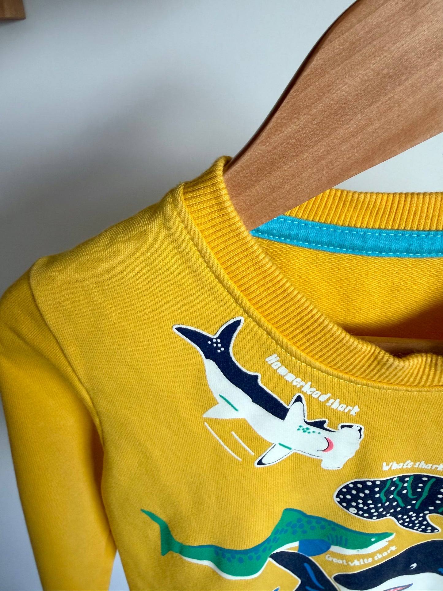 Shark Yellow Crew Neck Sweater / 3T