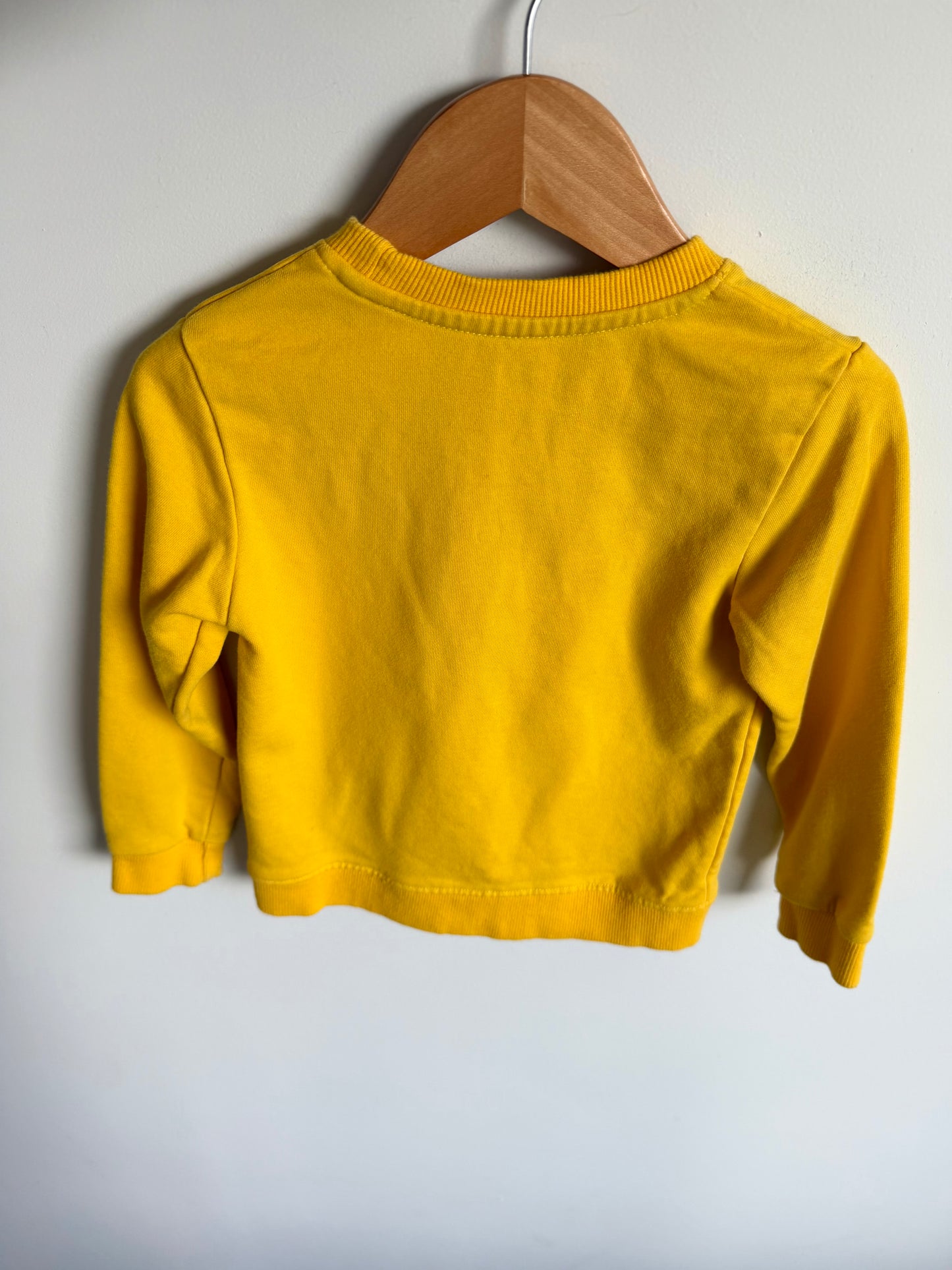 Shark Yellow Crew Neck Sweater / 3T