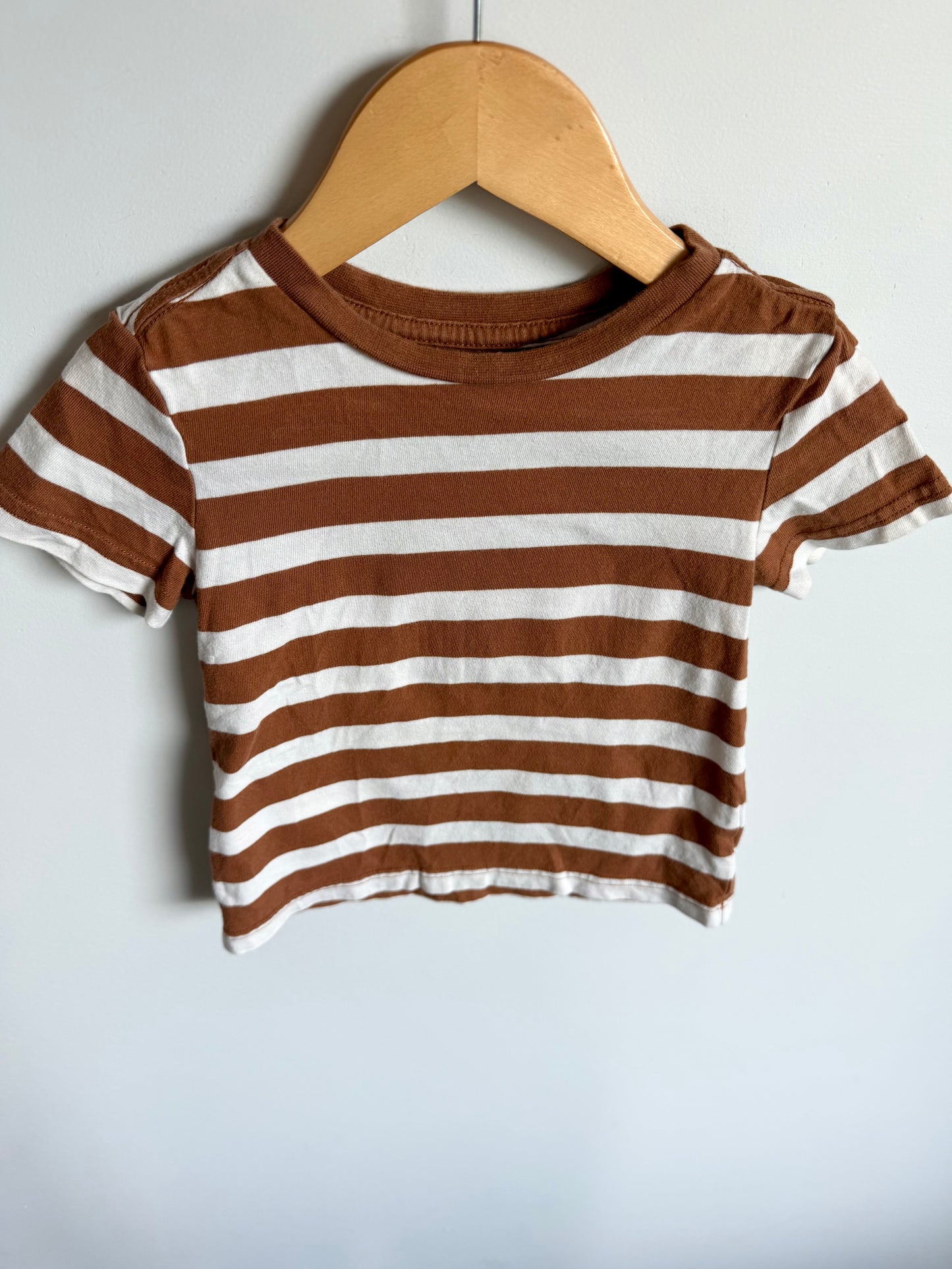 Brown Striped T-Shirt / 2T