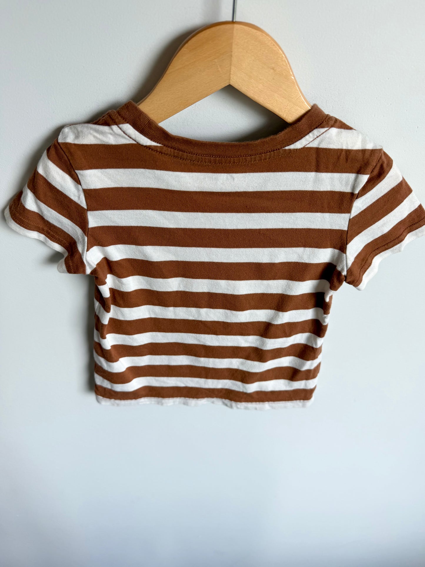 Brown Striped T-Shirt / 2T
