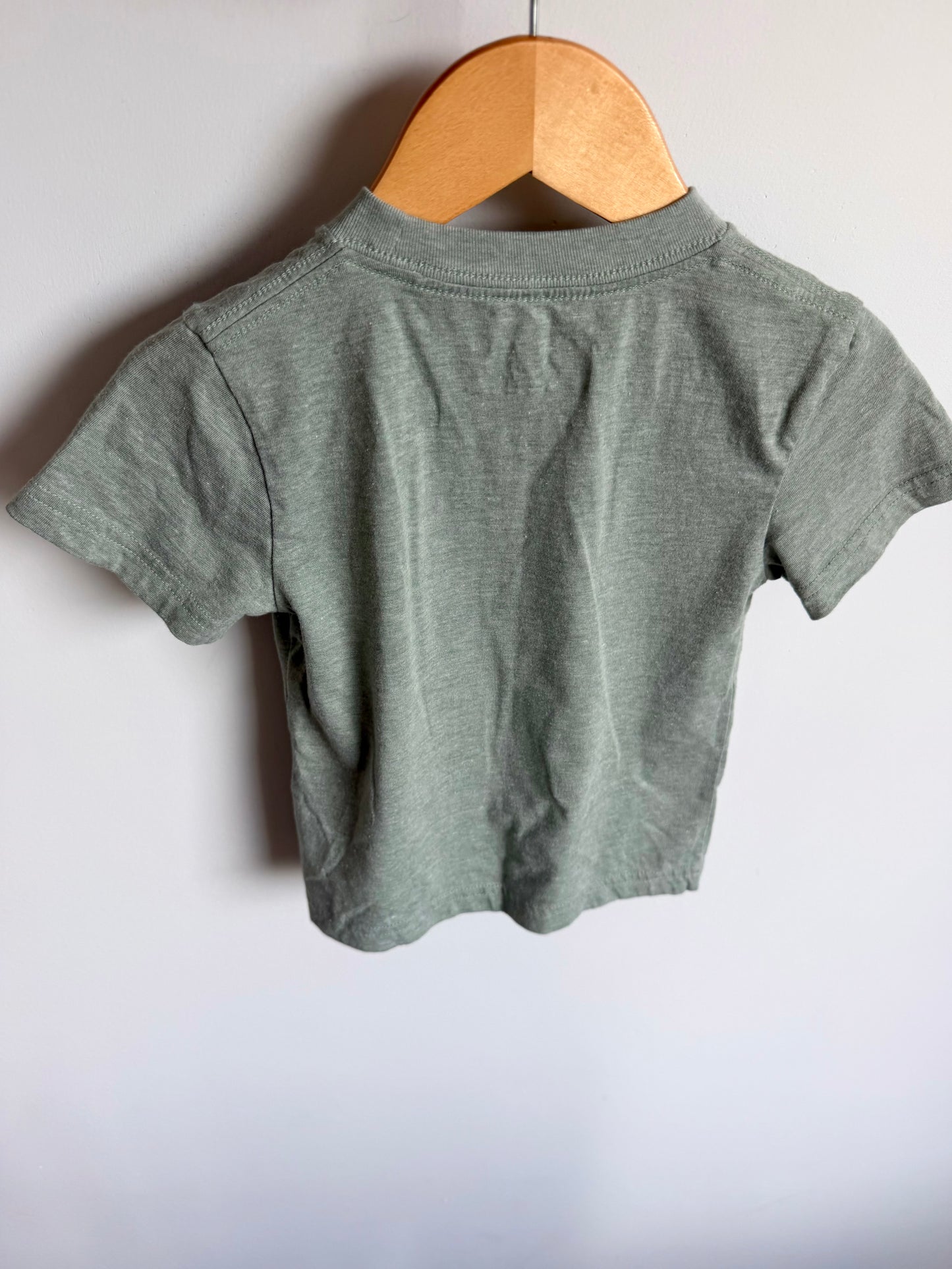 Carhartt Outdoors Dog T-Shirt / 2T