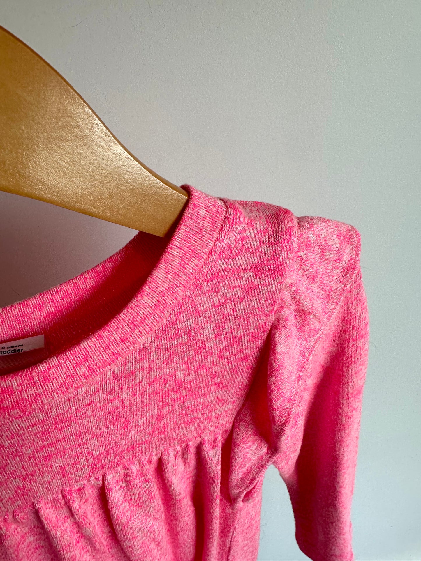 Gap Bright Pink Ruffle Long Sleeve Dress / 2T