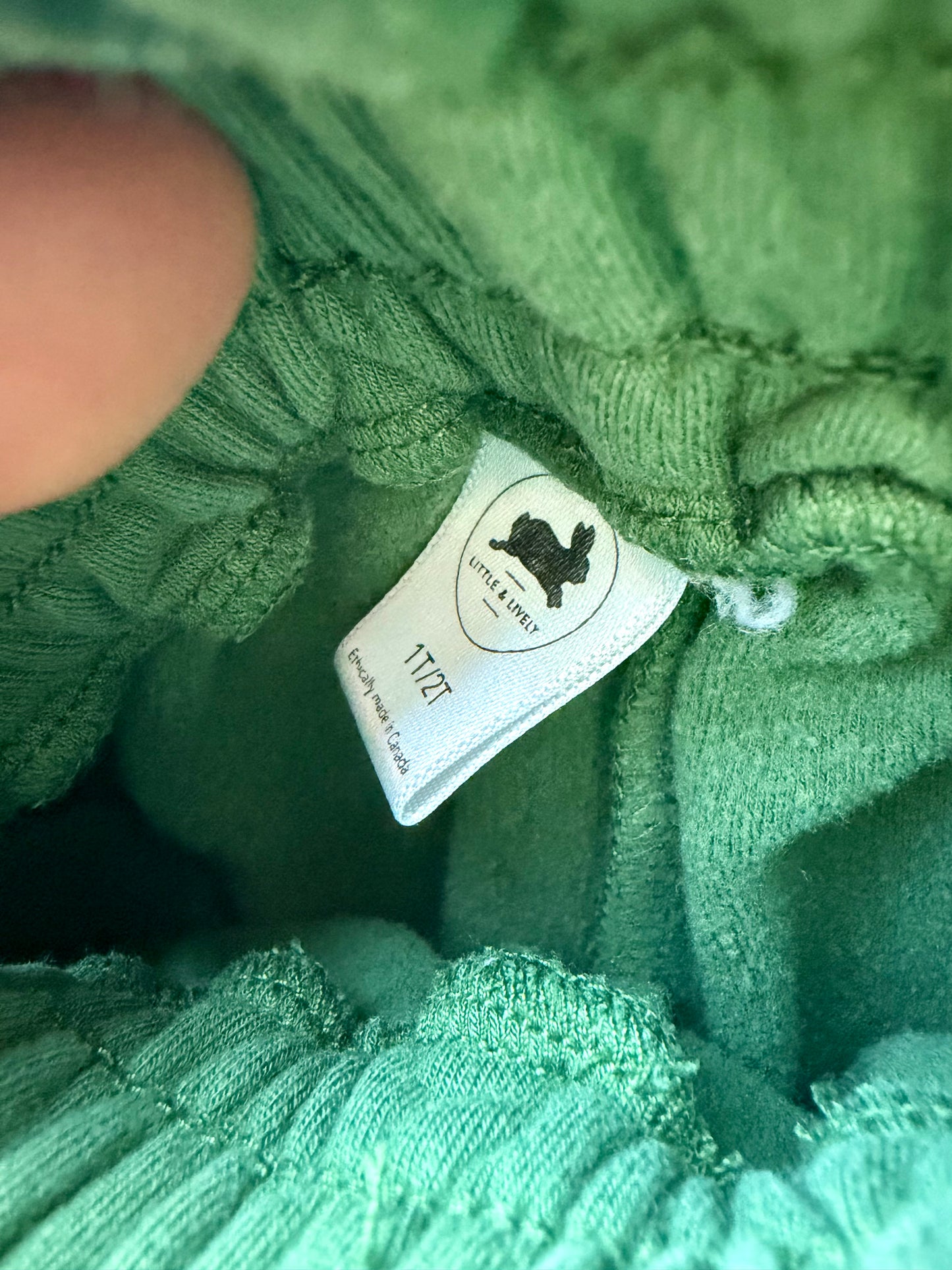 Little & Lively Emerald Green Joggers / 1-2T