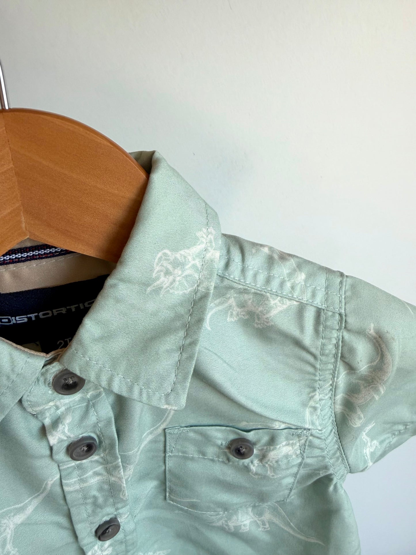 Mint Dino Button Up Dress Shirt / 2T