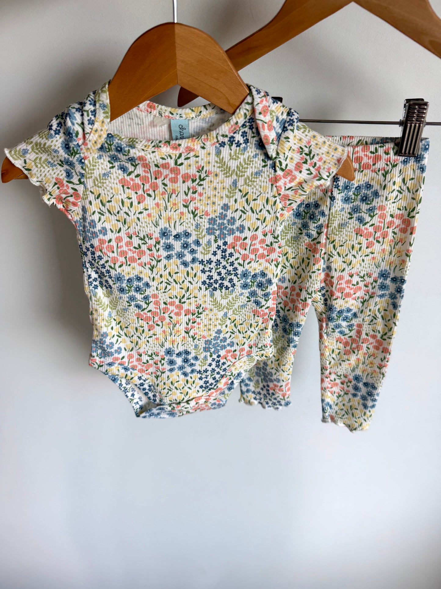 Ribbed Floral Bodysuit + Pants Set / 3-6m
