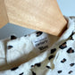 Cream Animal Print Dress / 18m