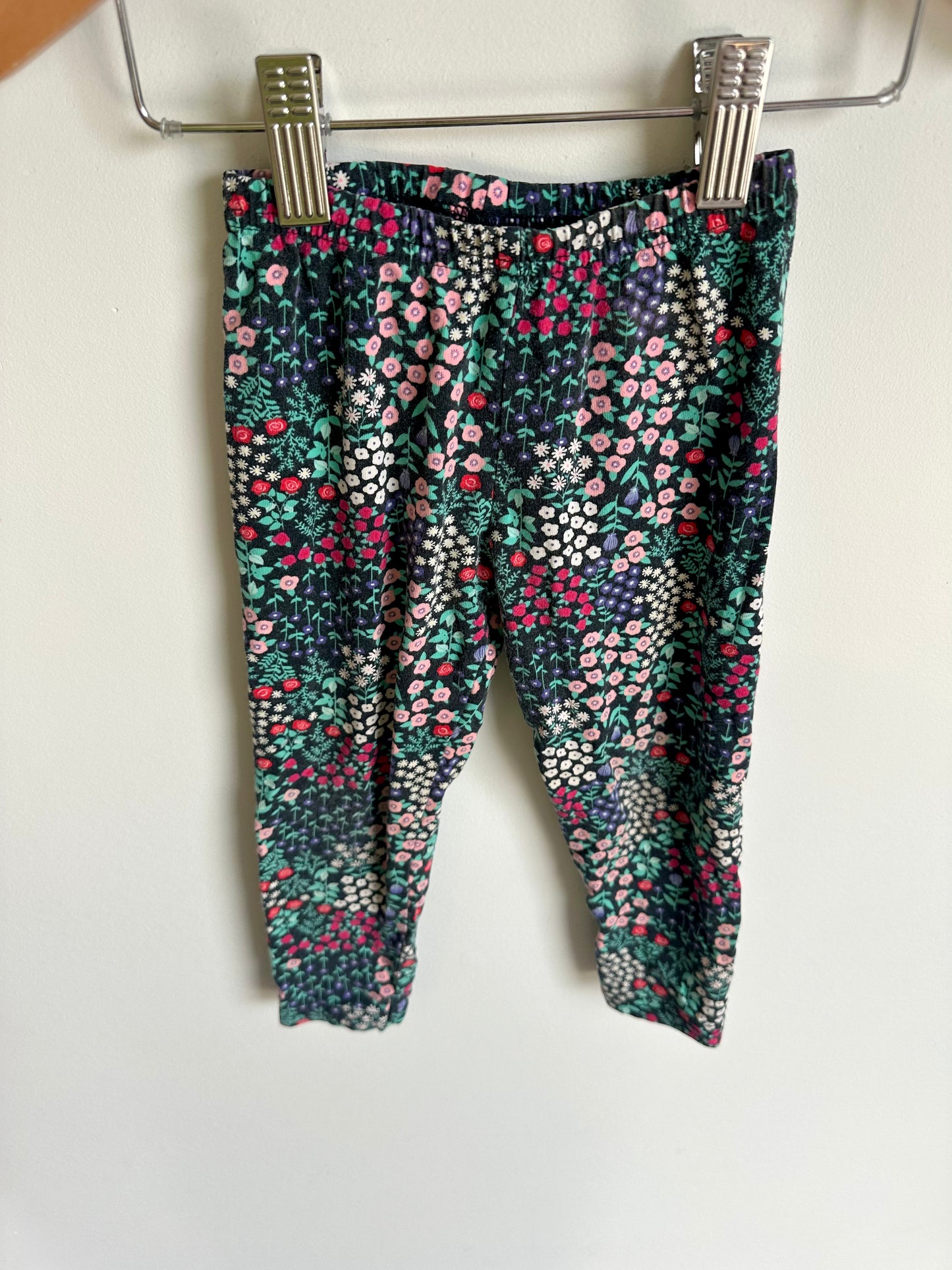 Flower Varieties Leggings / 24m
