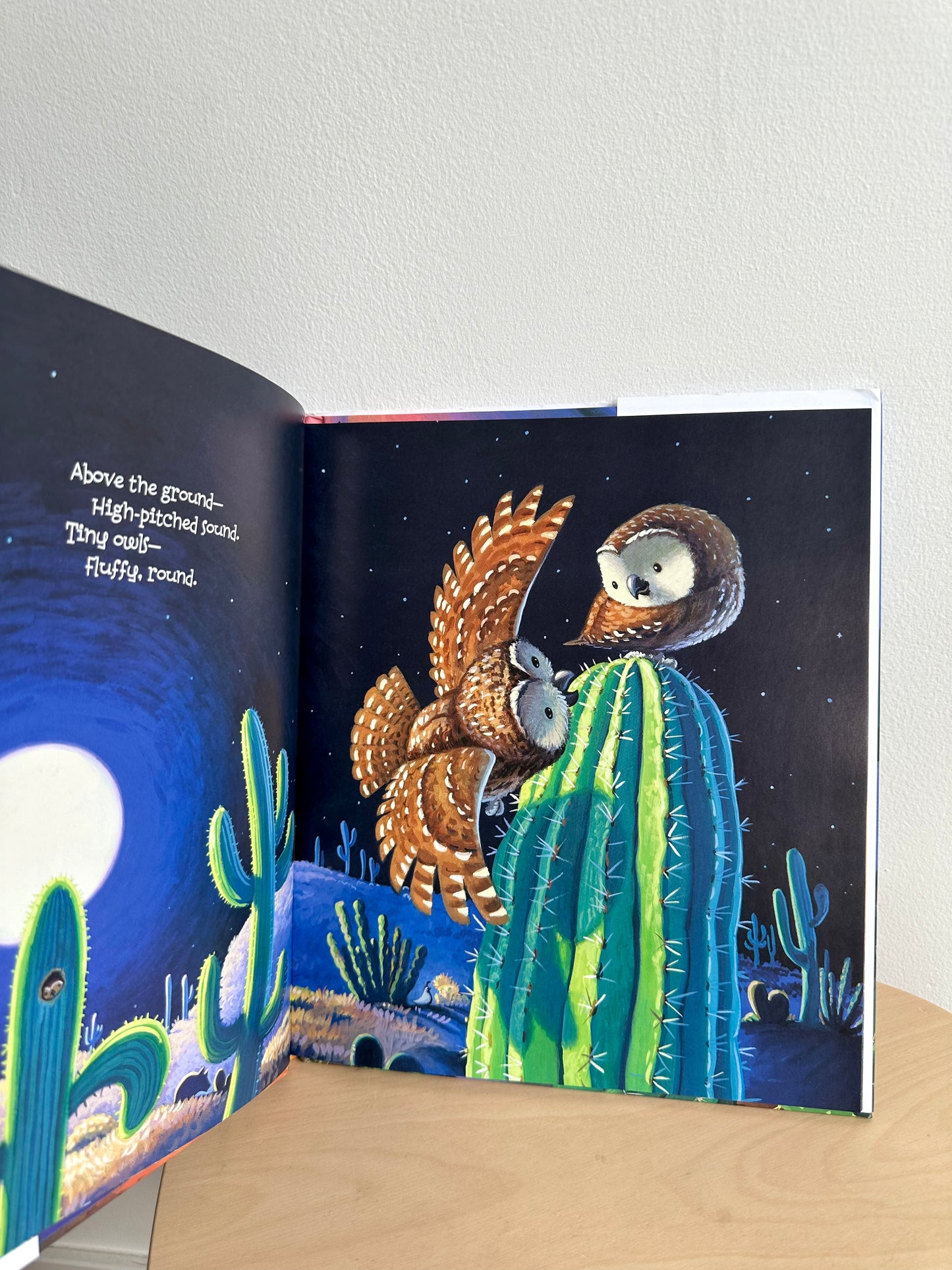 Desert Night, Desert Day Book / 0-3 years (No Shipping)