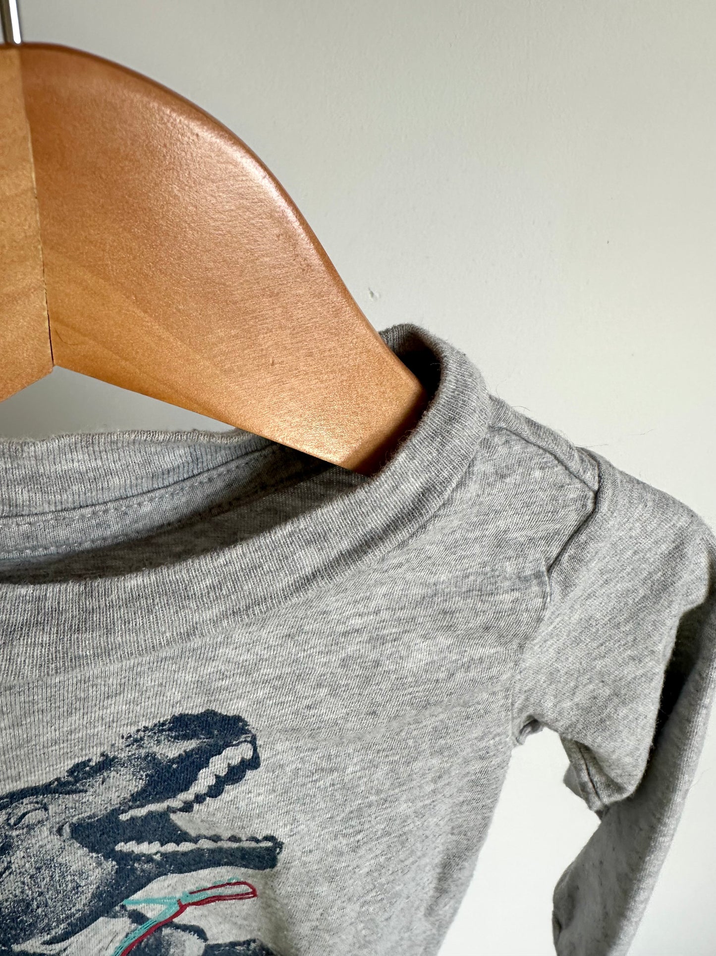 T-Rex Grey Top / 18m