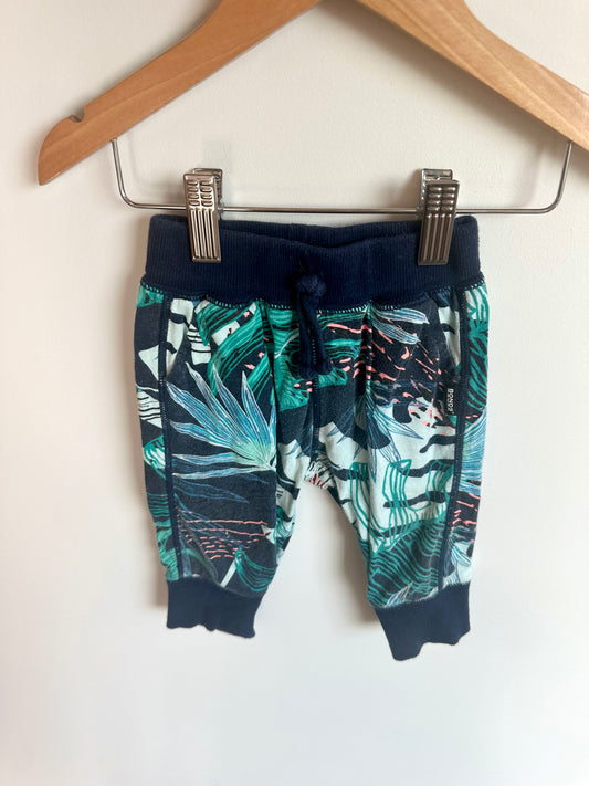 Bonds Turquoise Tropical Plant Pants / 3-6m?