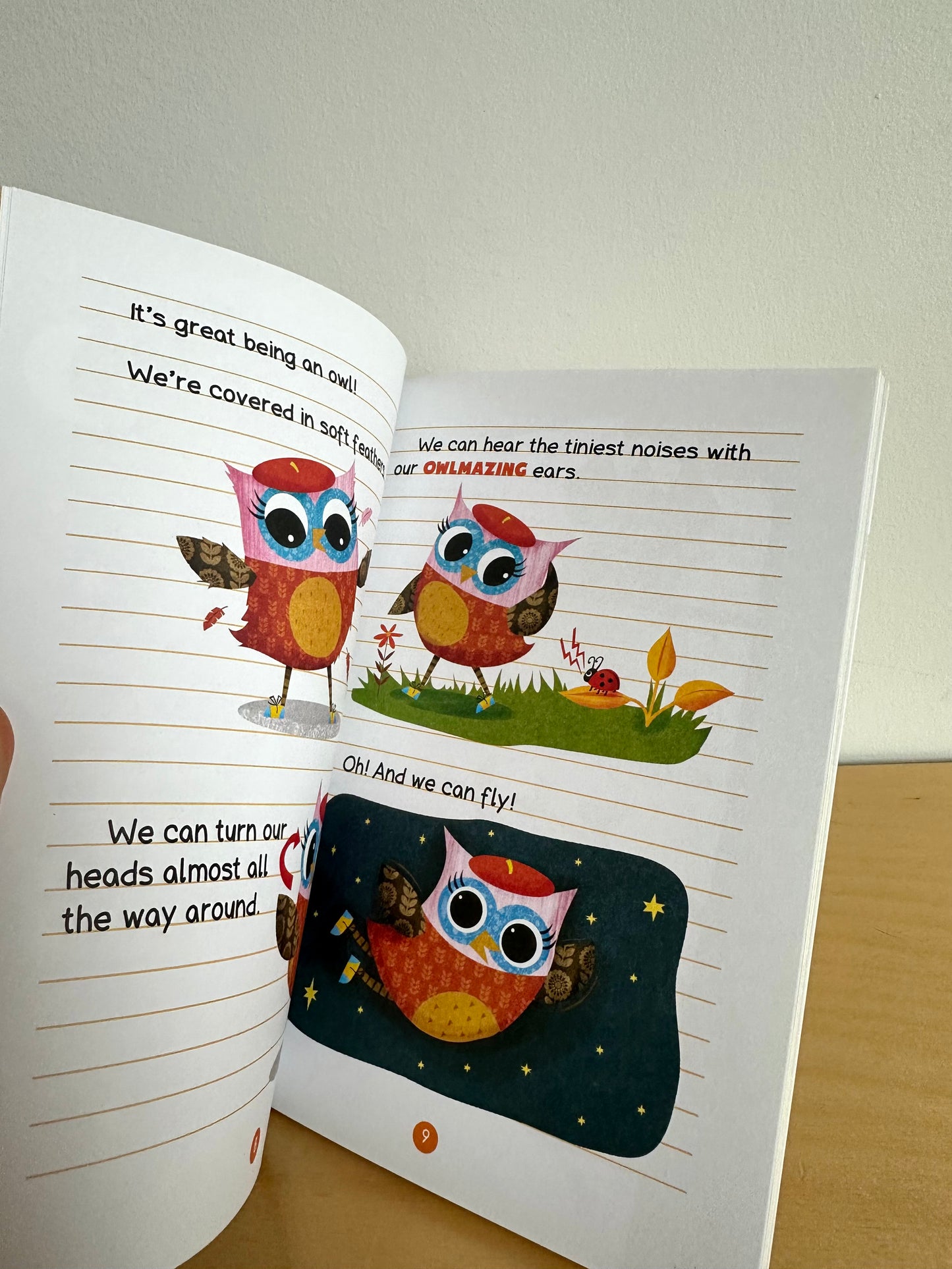 Owl Diaries - Trip to the Pumpkin Farm Book / 5-7 years