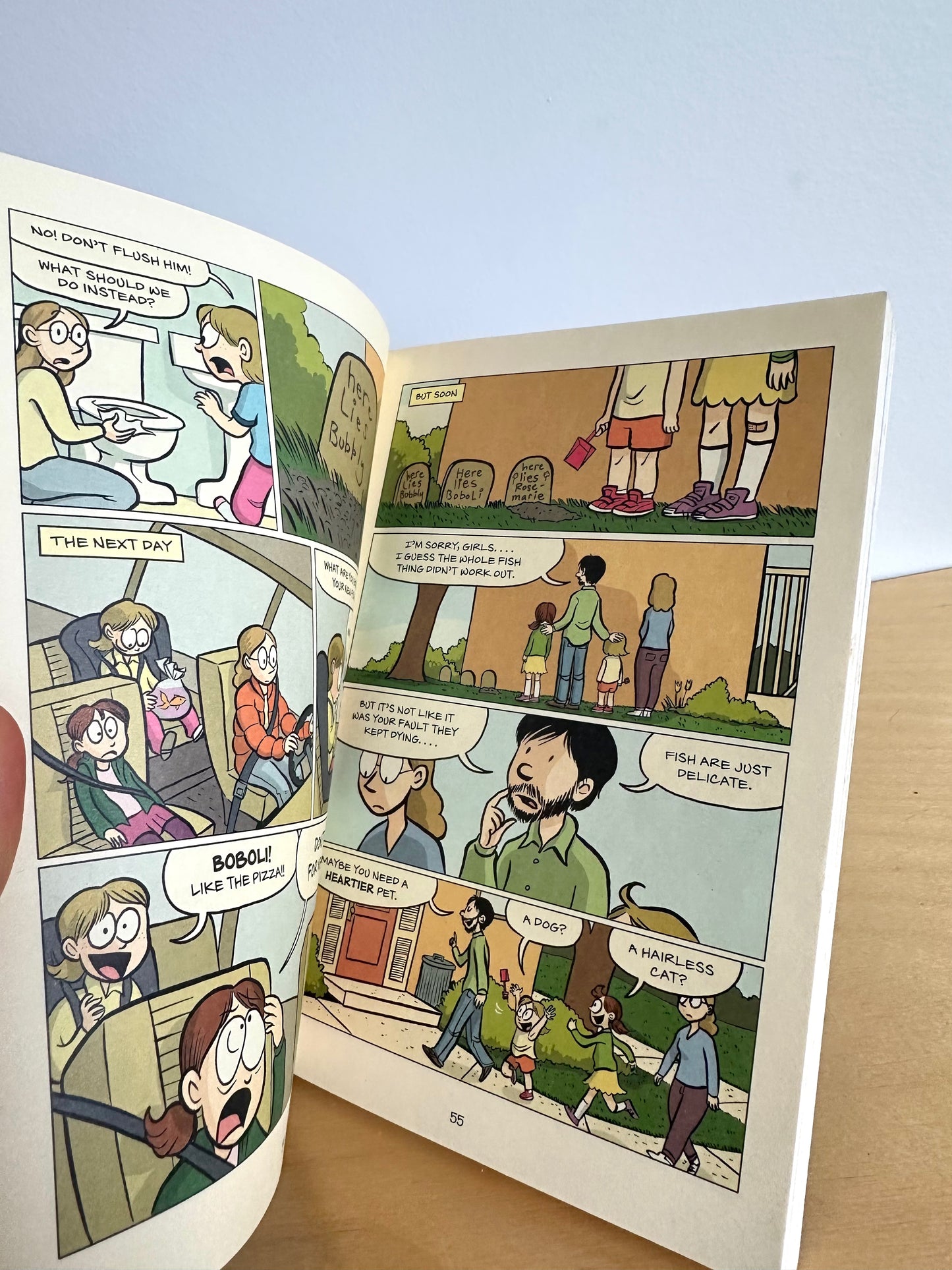Sisters: A Graphic Novel Book / 8-12 years