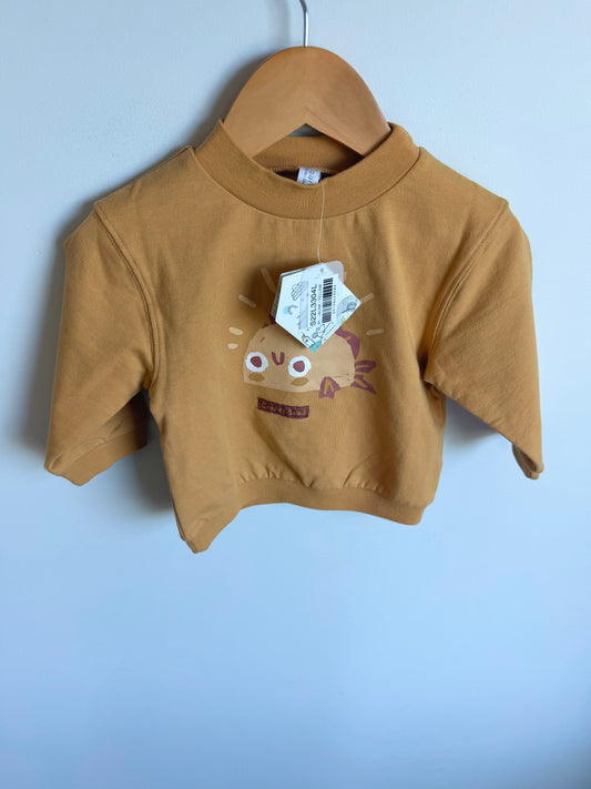 Fish Mustard Sweater (With tags) / 9-12m
