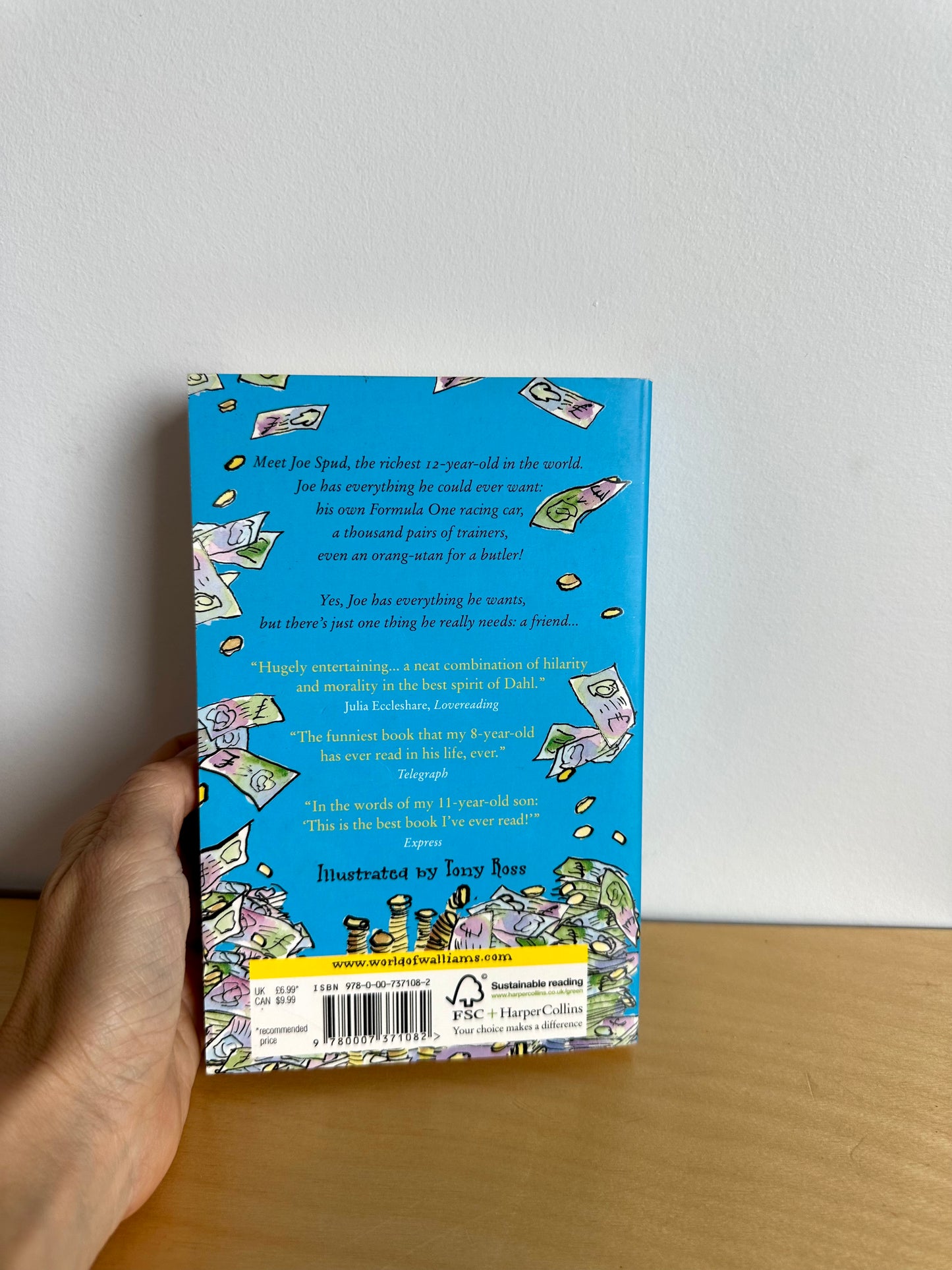 Billionaire Boy Book / 9-12 years