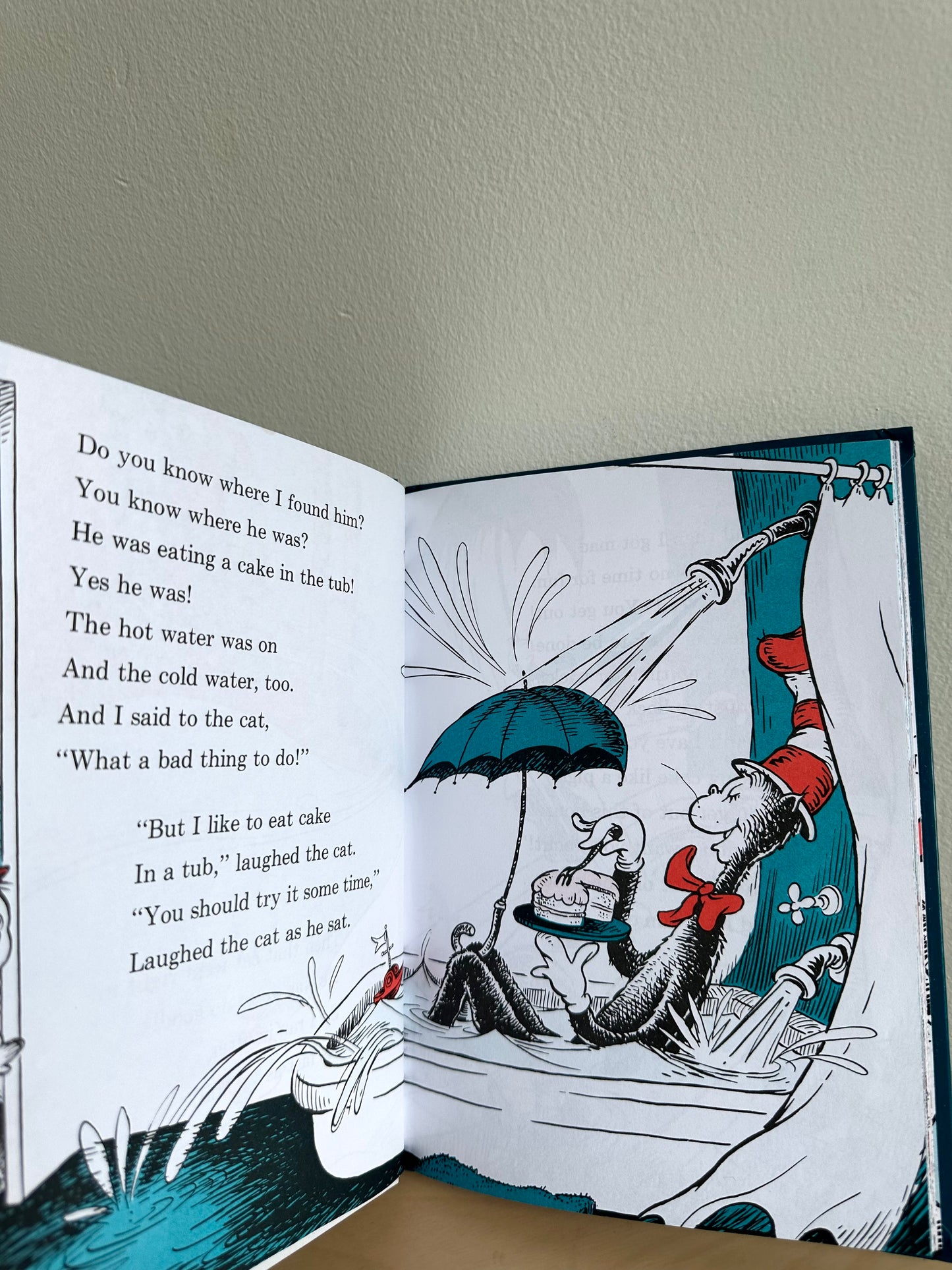 The Cat in the Hat Comes Back Hardcover Book / 0-5 years