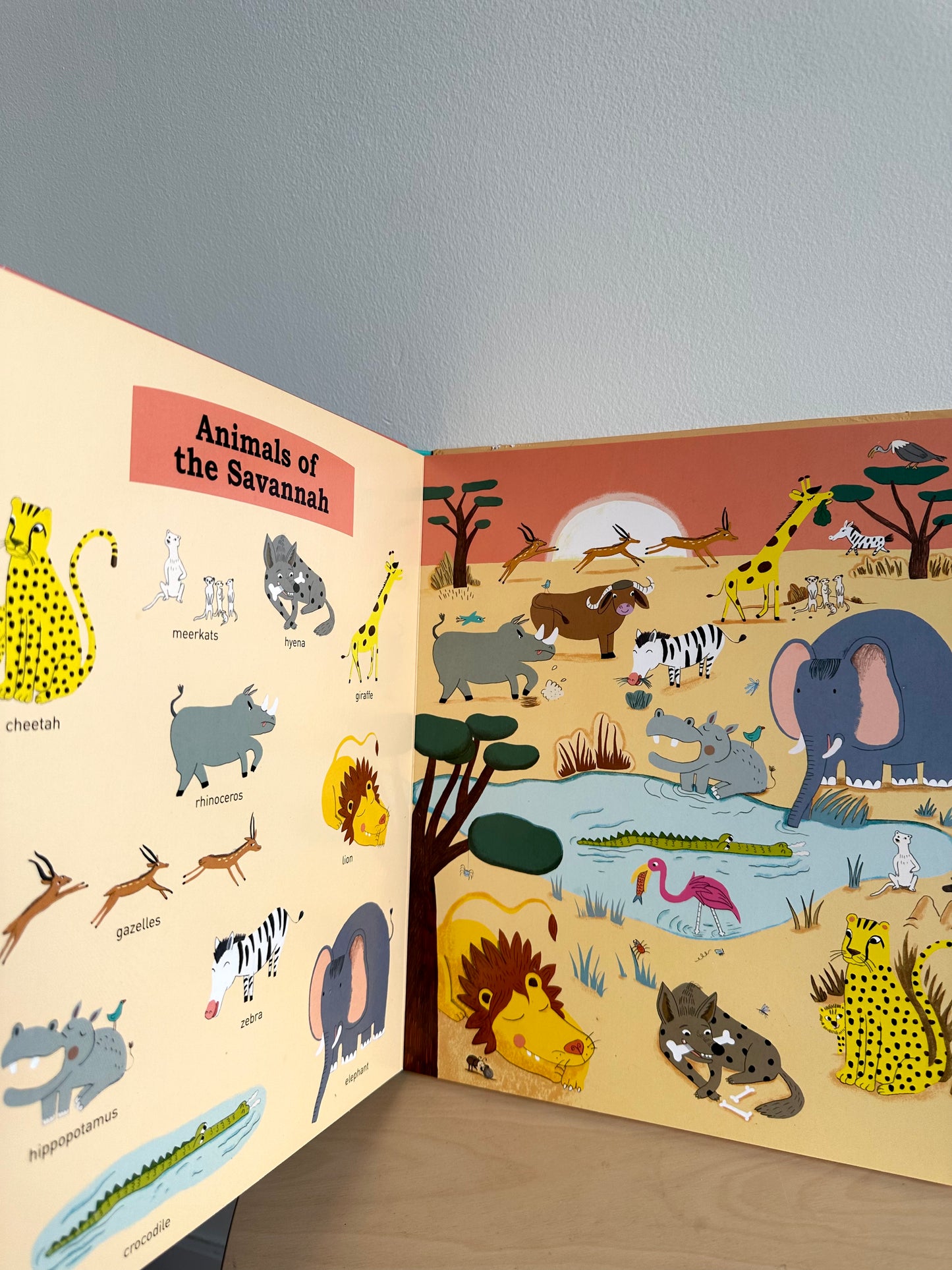 My First Animals Large Board Book (No Shipping)