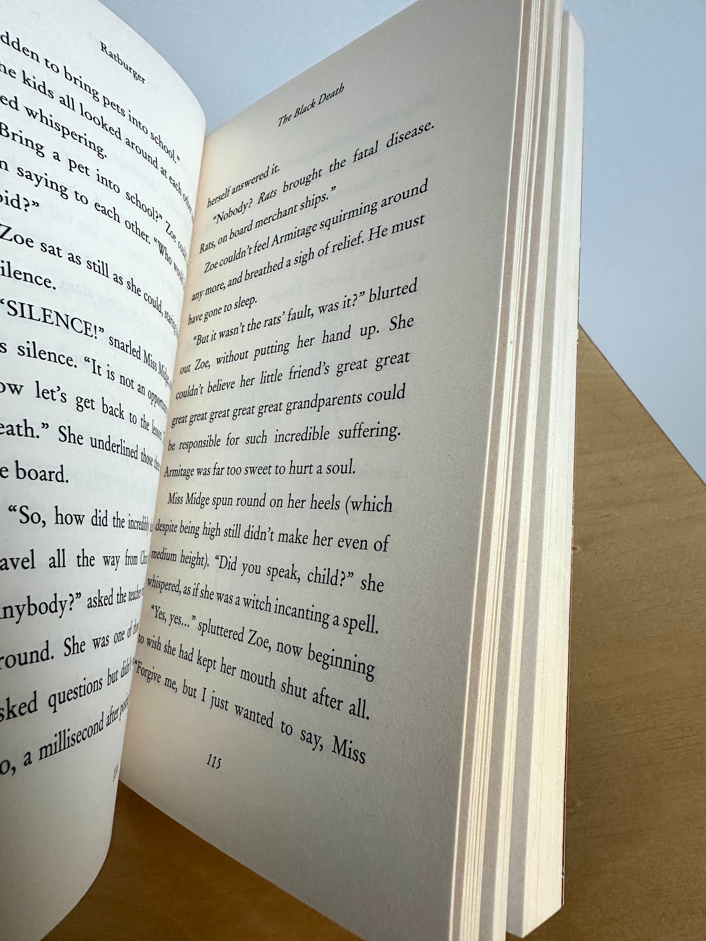 Ratburger Book / 9-12 years