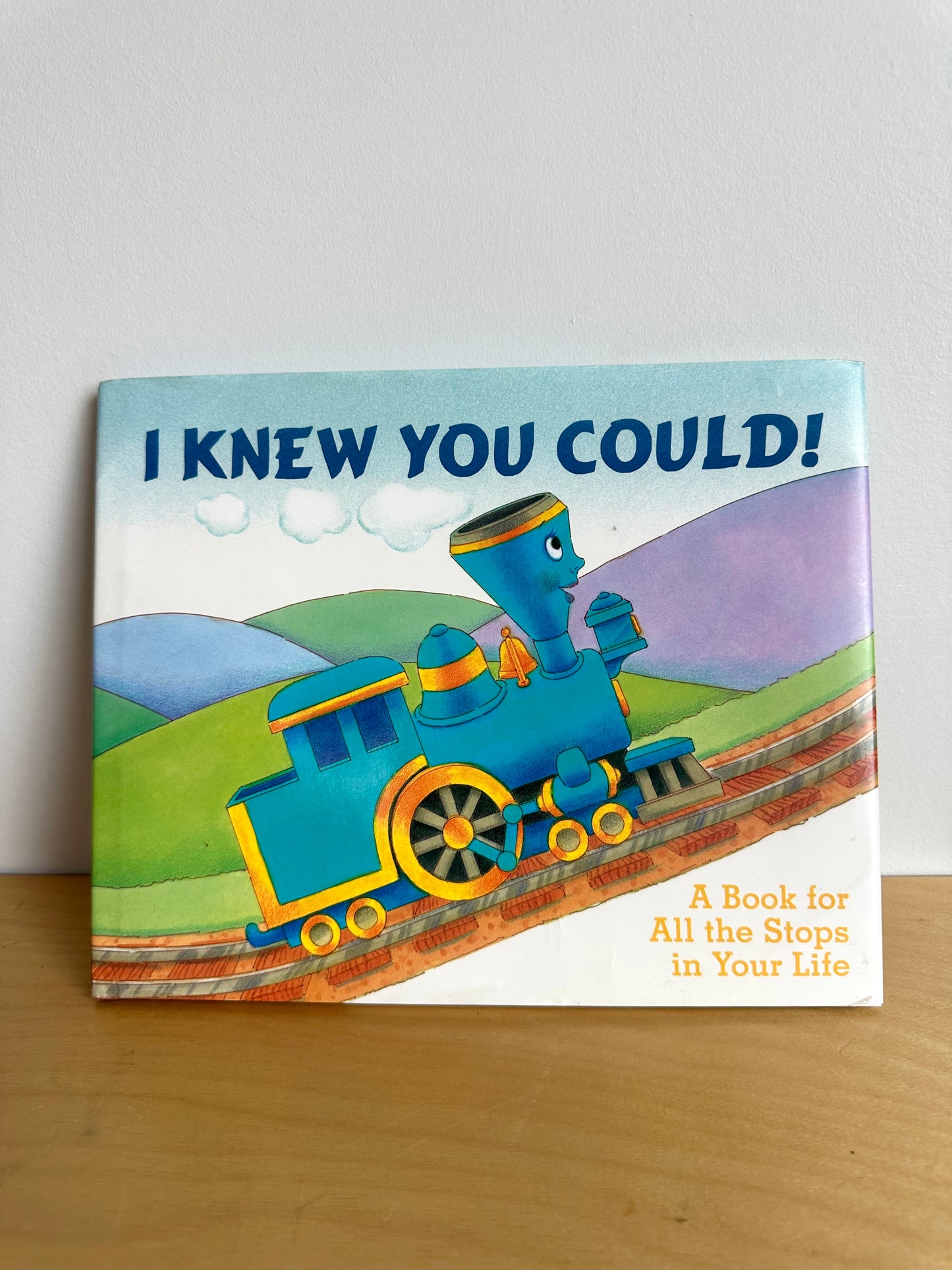 I Knew You Could! Book / 3-7 years