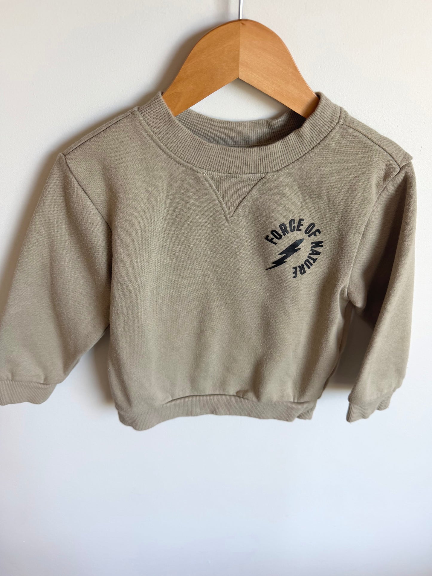 Force of Nature Crewneck / 3T