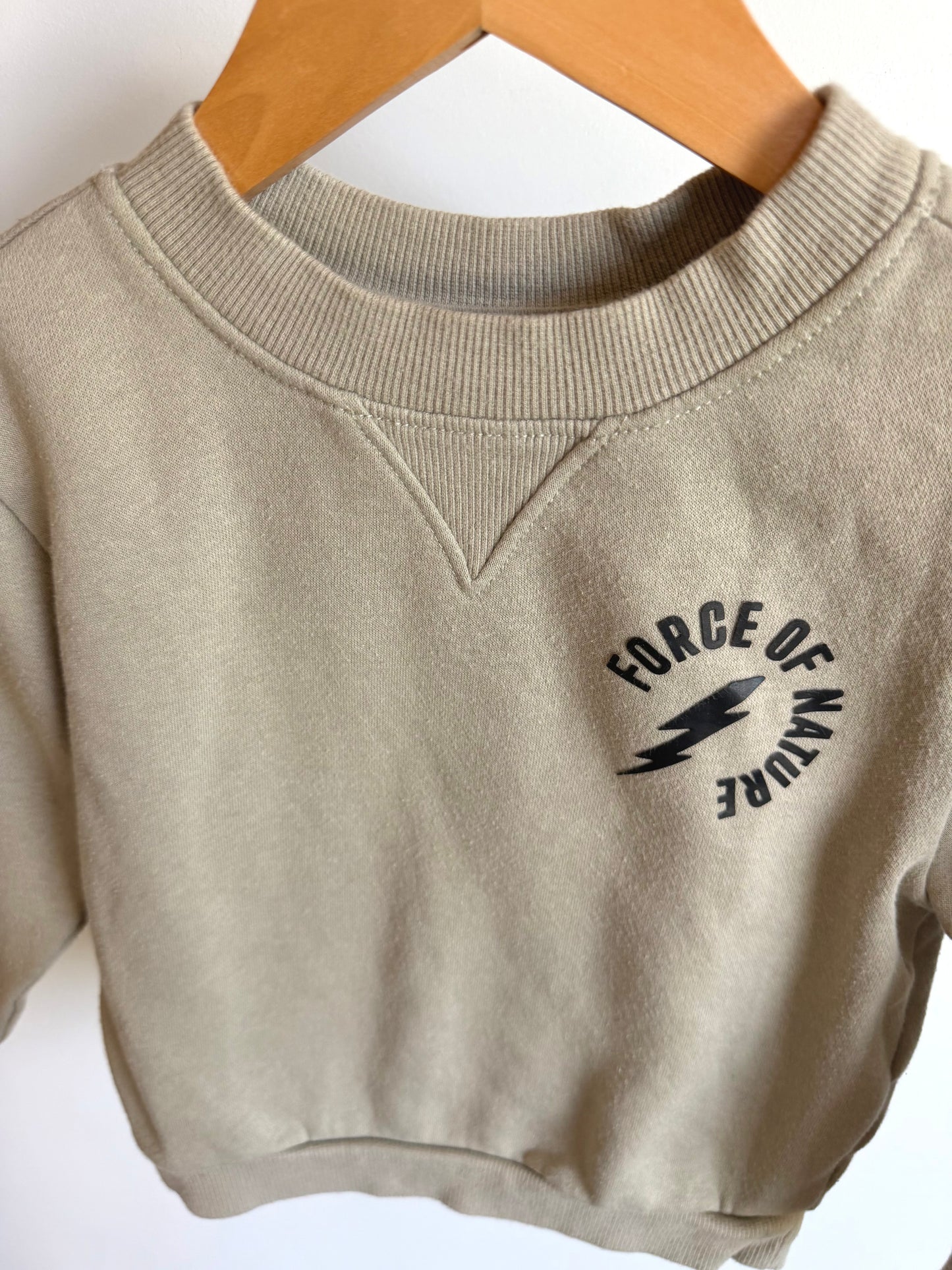 Force of Nature Crewneck / 3T