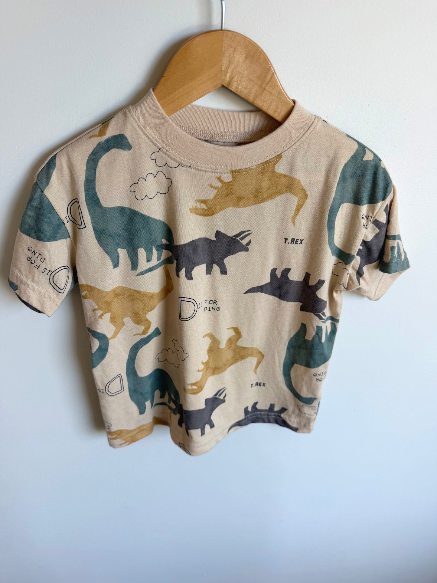 D is For Dino Top / 4T