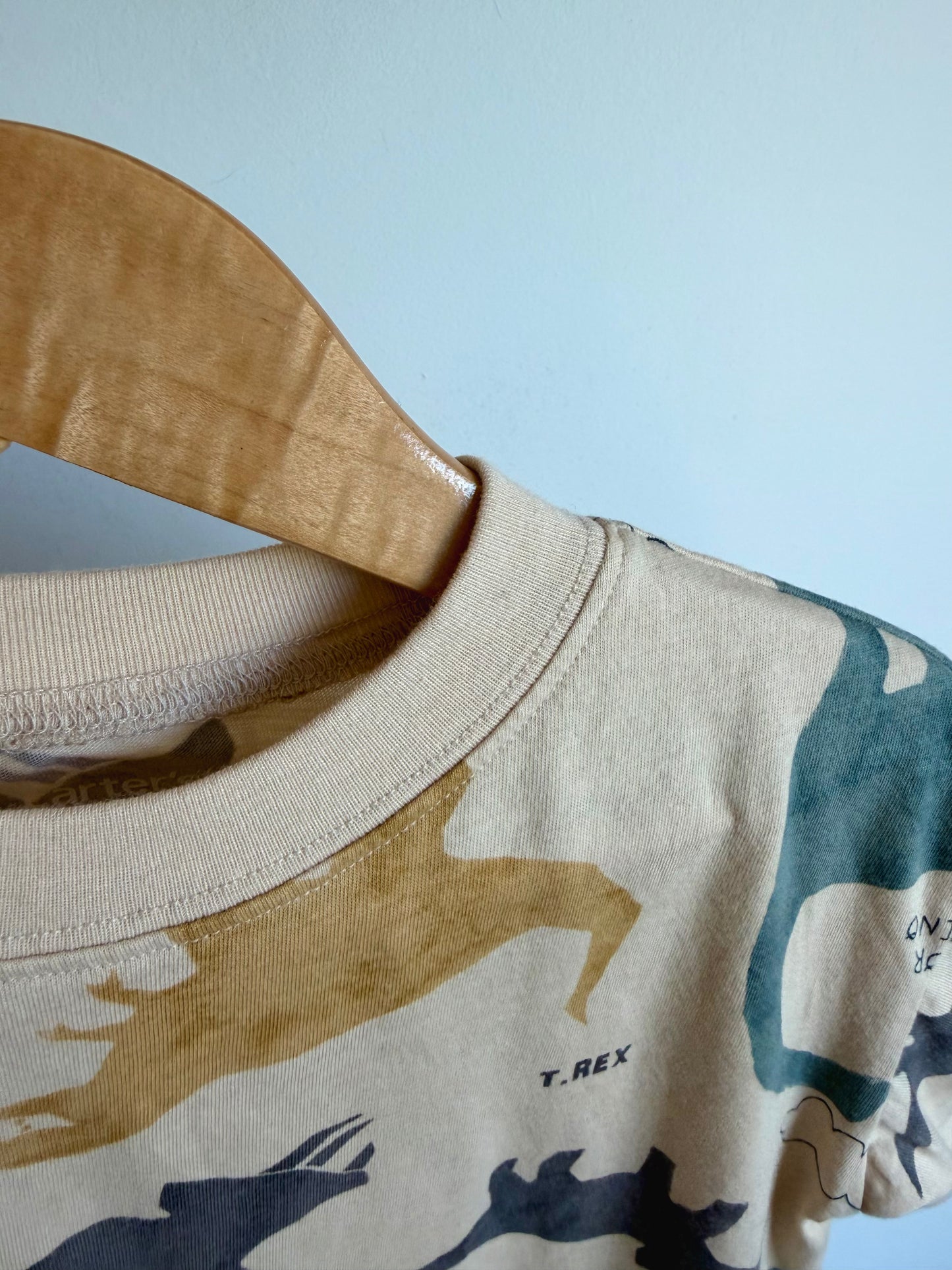 D is For Dino Top / 4T