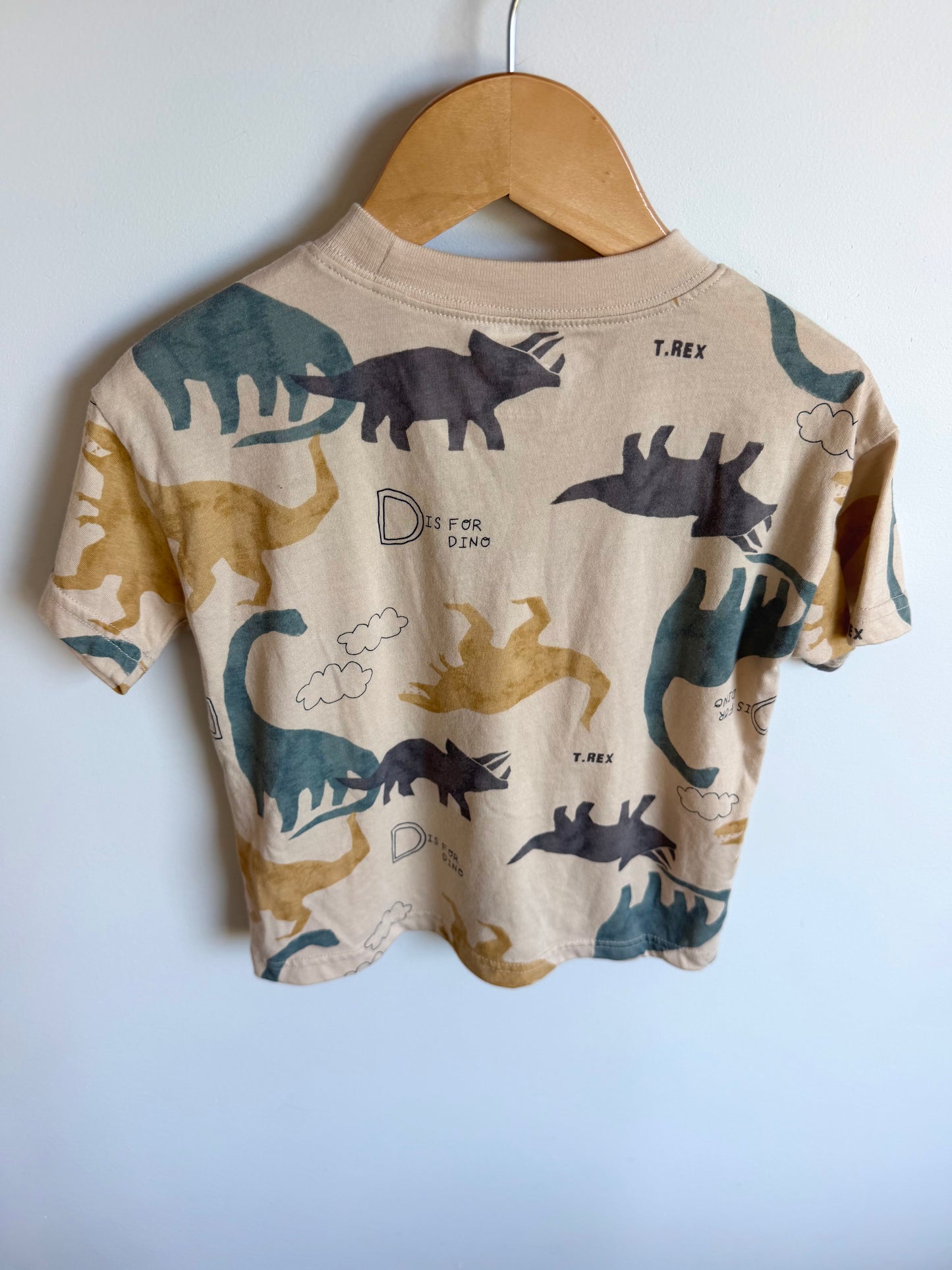 D is For Dino Top / 4T