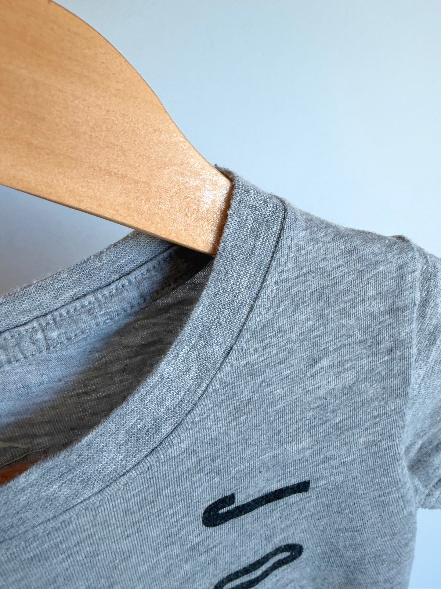 Air Jordan Grey T-Shirt / 3-4T