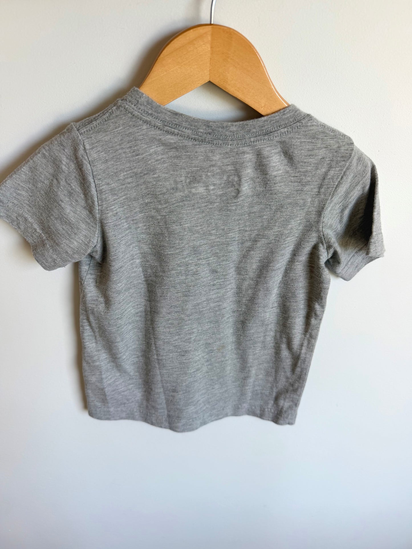 Air Jordan Grey T-Shirt / 3-4T
