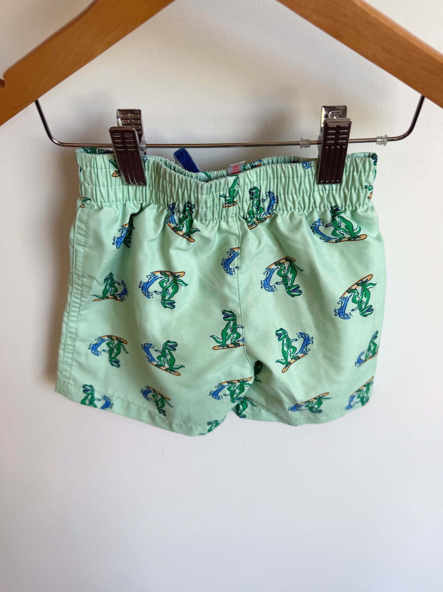 Dino Surf Swim Shorts / 2T