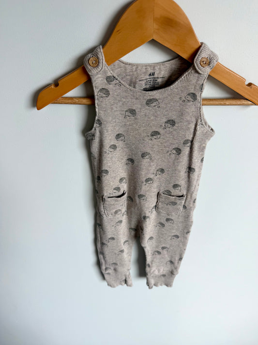 Rib Hedgehog Grey Overall Jumpsuit / 2-4m