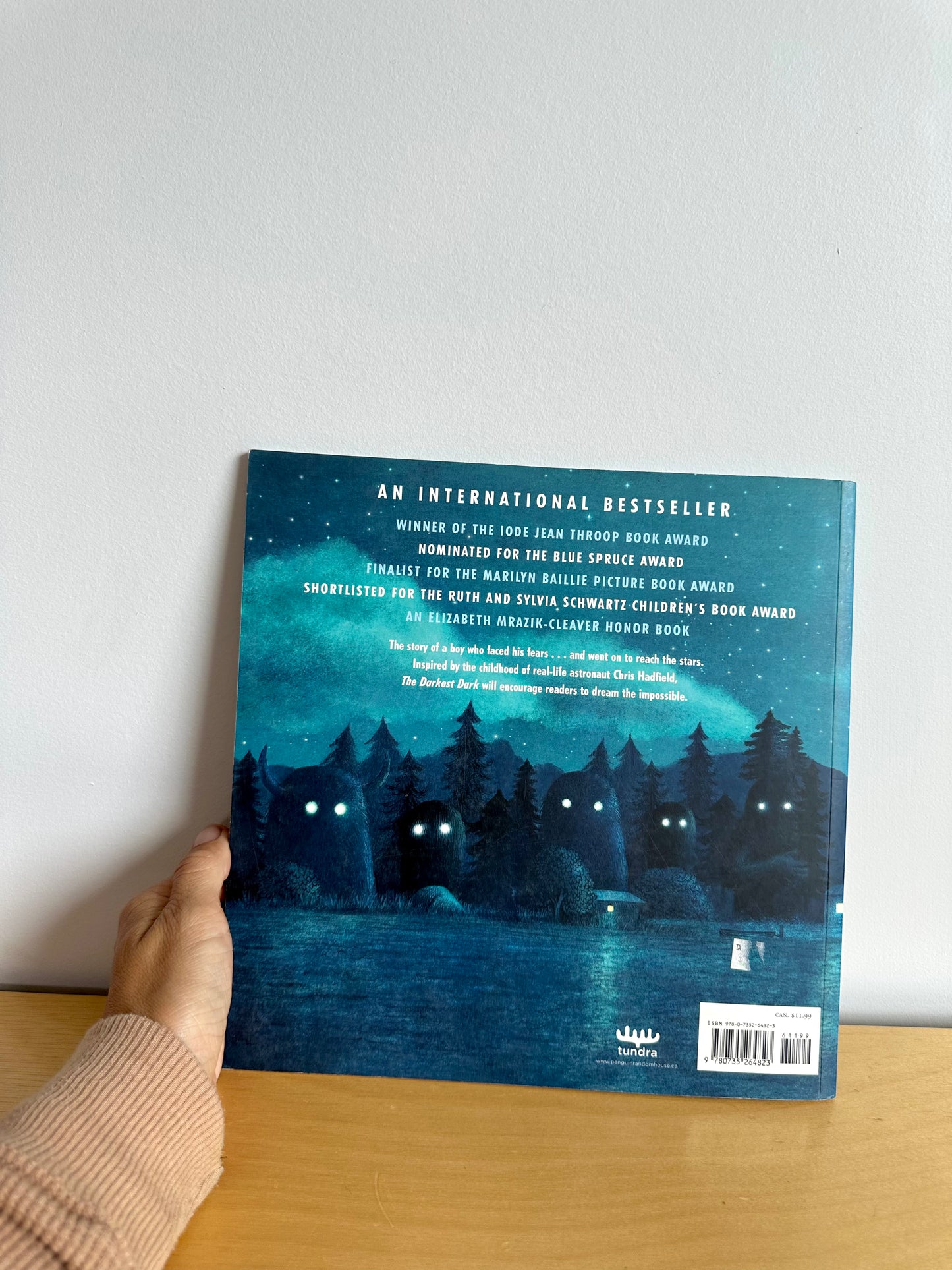 The Darkest Dark Softcover Book / 3-5 years