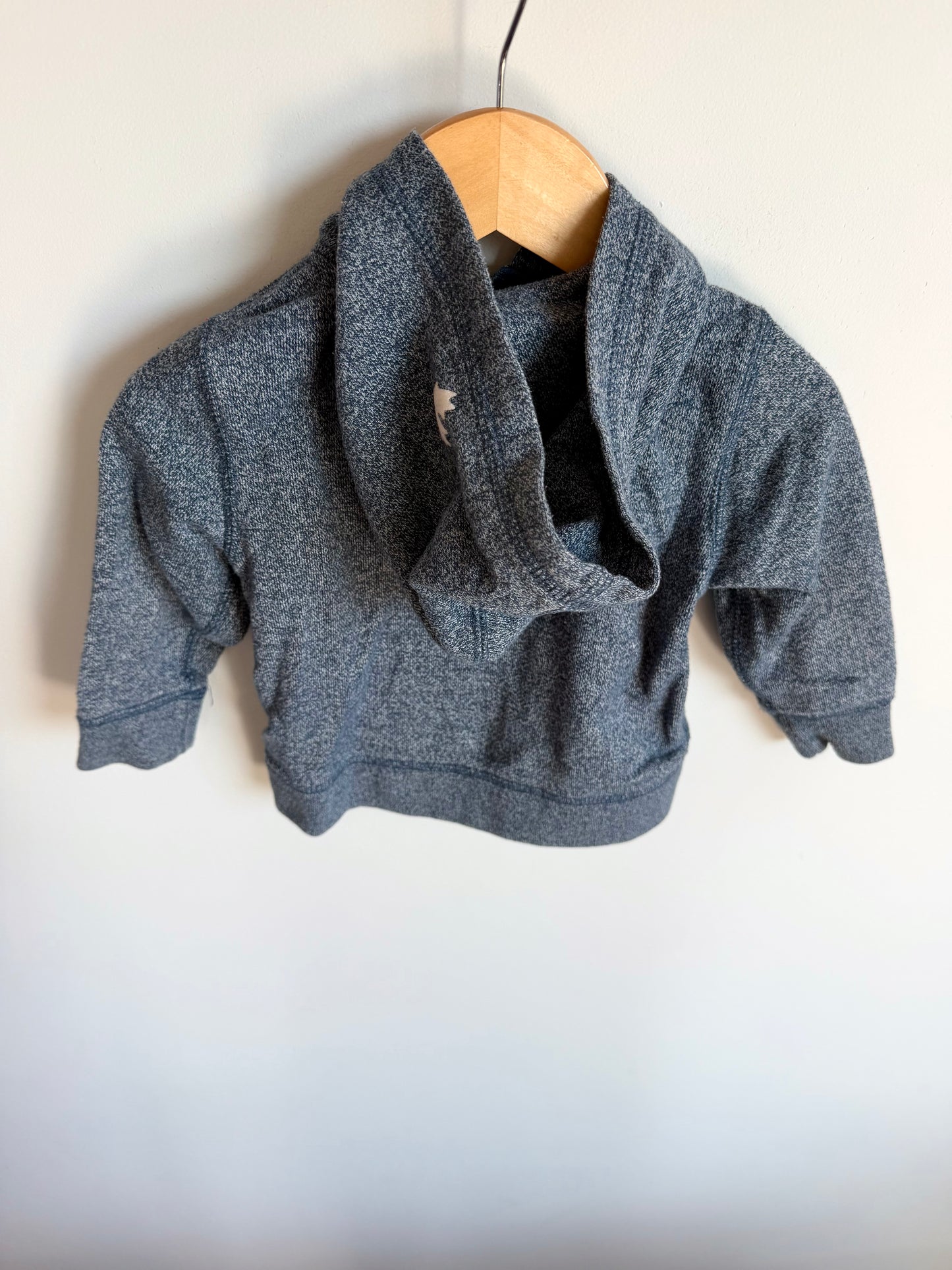 Roots Blue Hoodie / 18-24m