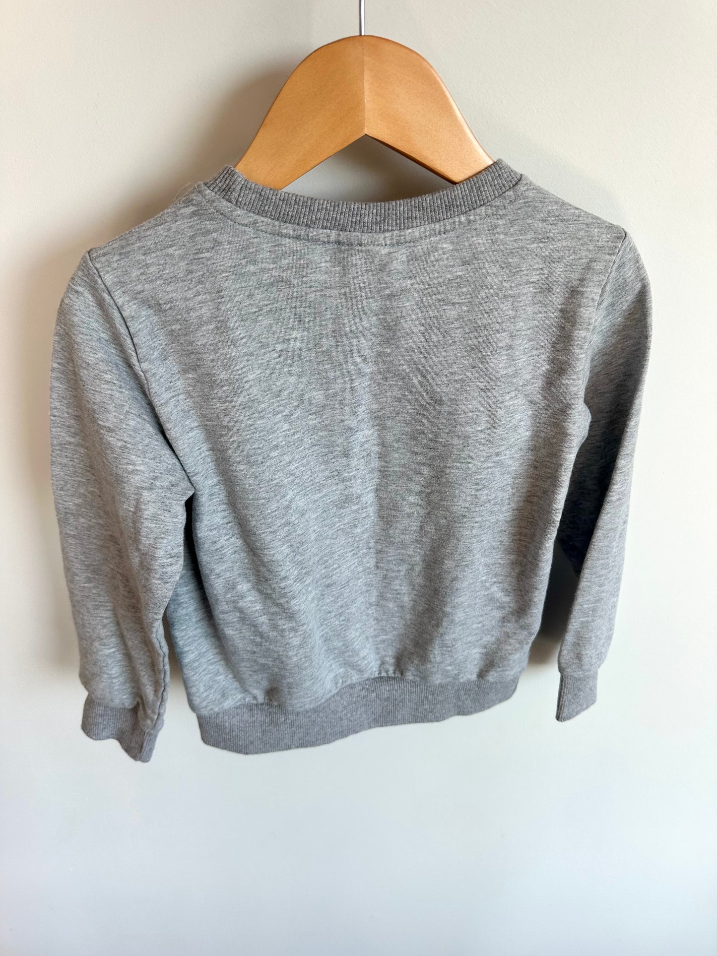 Bippity Boppity Boo Grey Crewneck / 3T