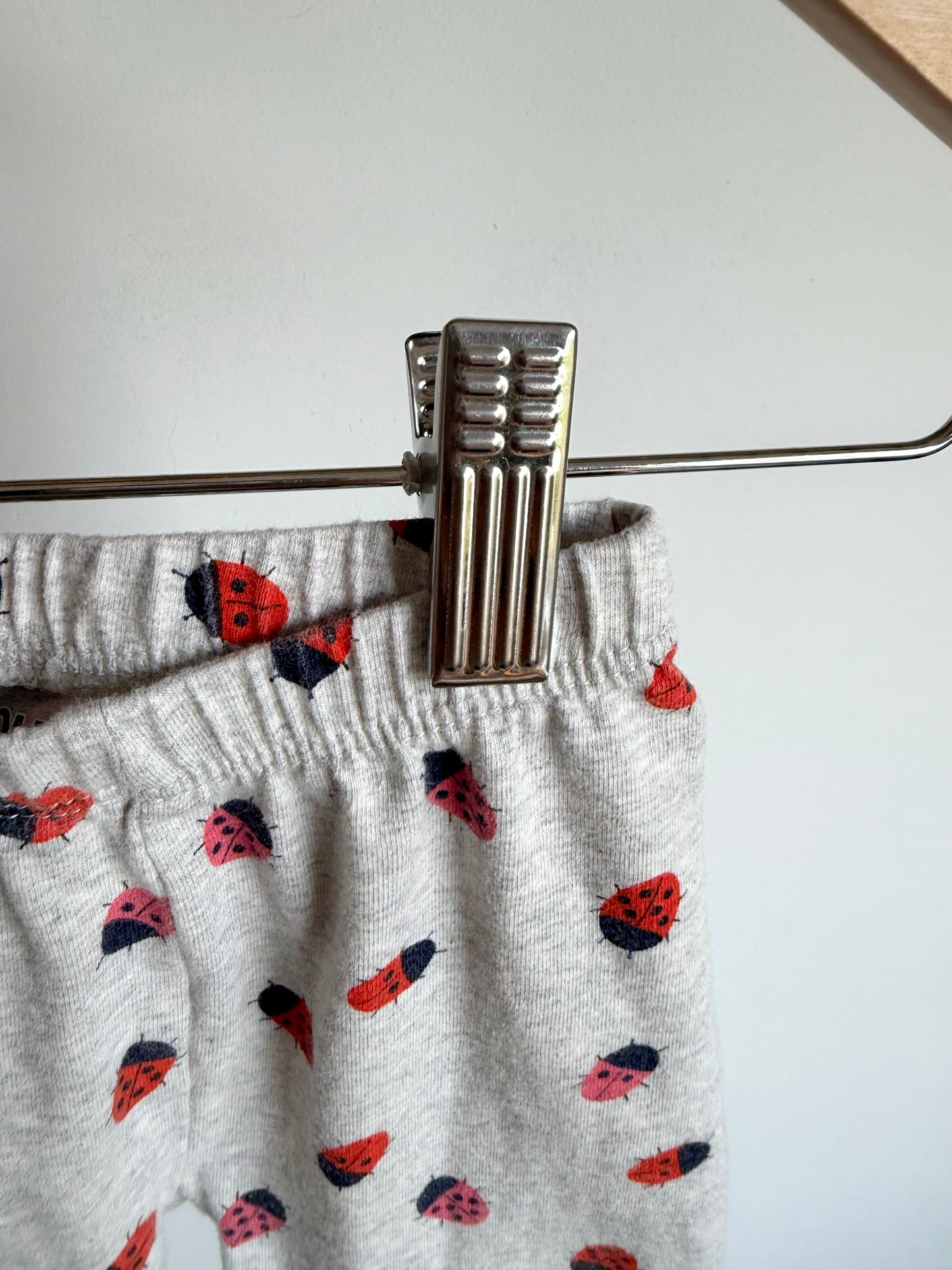 Ladybug Leggings / 18m