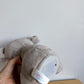 Peekaboo Koala Stuffy Toy (No Shipping)