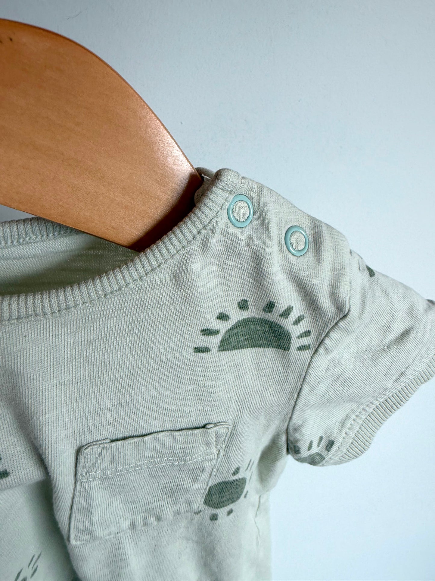 Sage Sunshine Pocket T-shirt / 6m