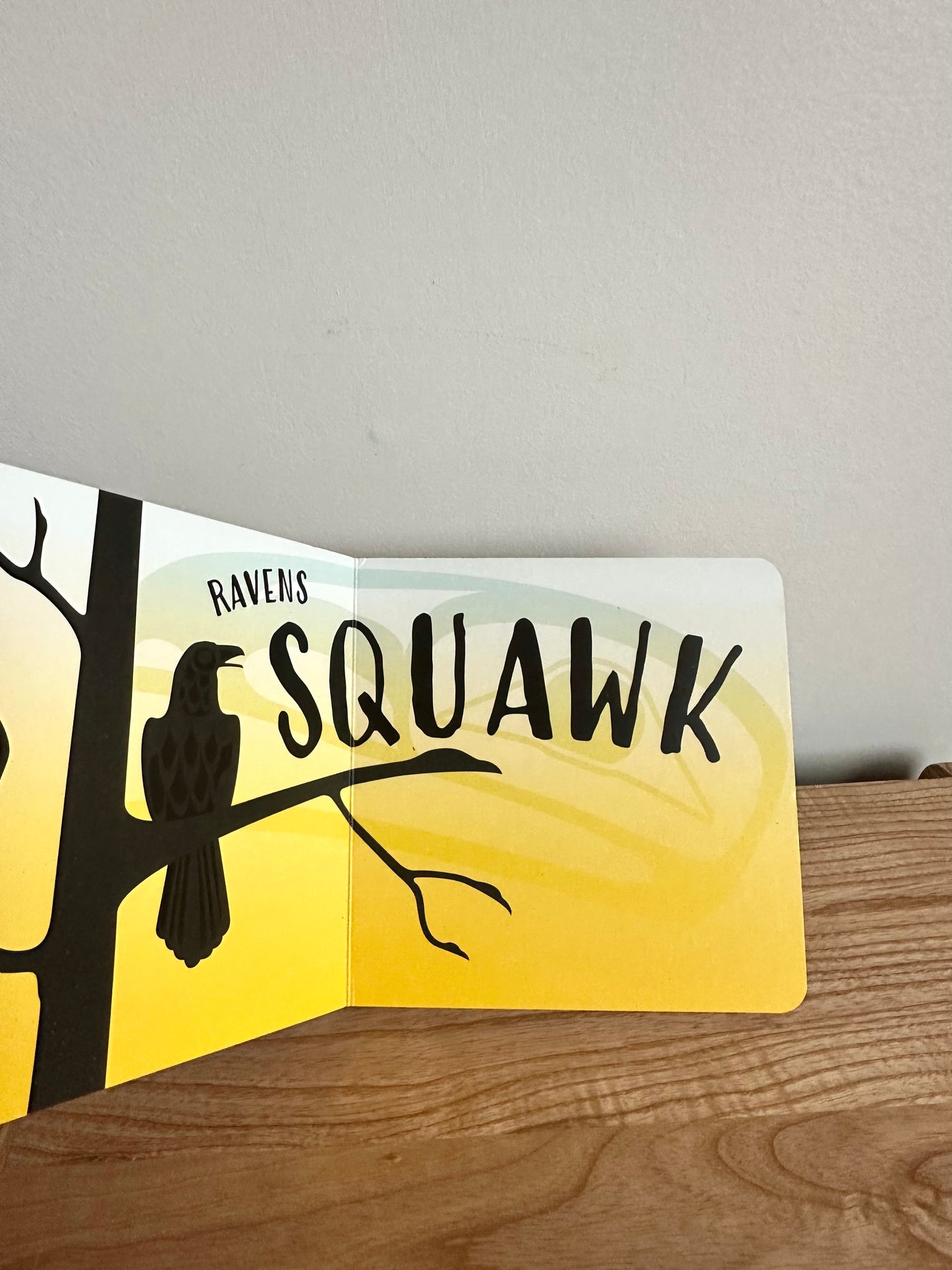 Raven Squawk, Orca Squeak Book / 0-2 years