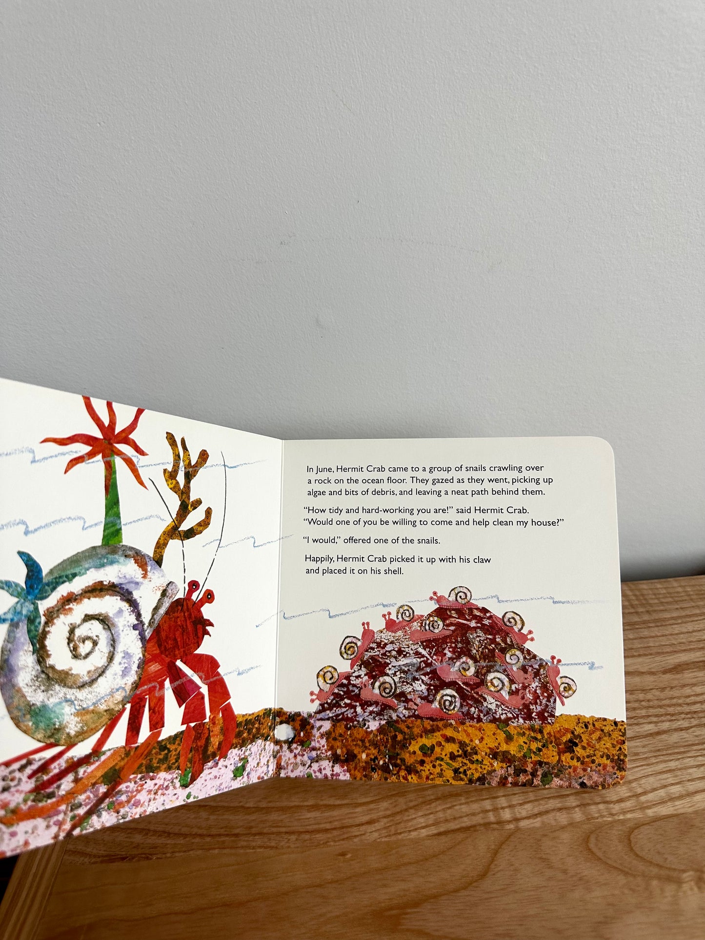 A House For Hermit Crab Book / 4-8 years