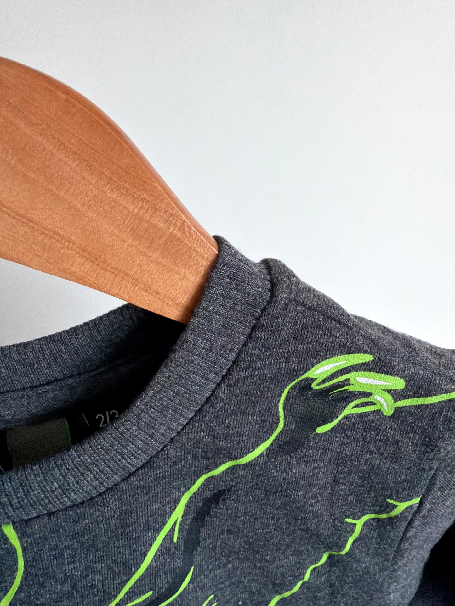 Grey Dino Zip Crewneck (With Tags) / 2-3T